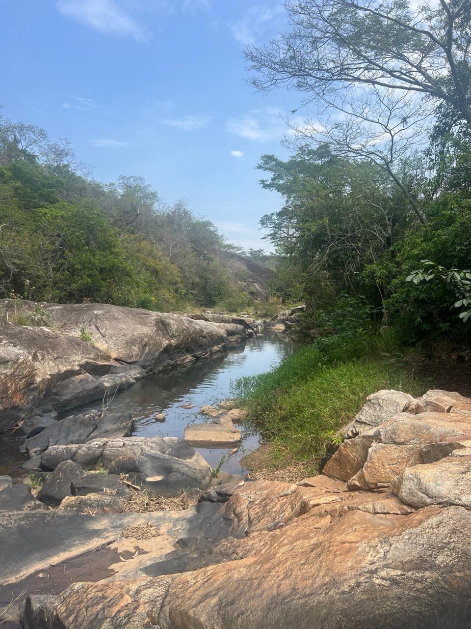 Área Rural de 40.000m² com Córrego — foto 4