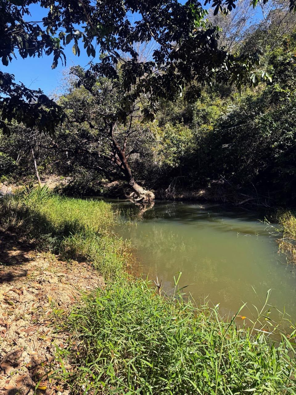 Chácaras a Partir de 3.000m² à Venda em Taquaraçu de Minas | Córrego nos Fundos e Entrada Facilitada — foto 5