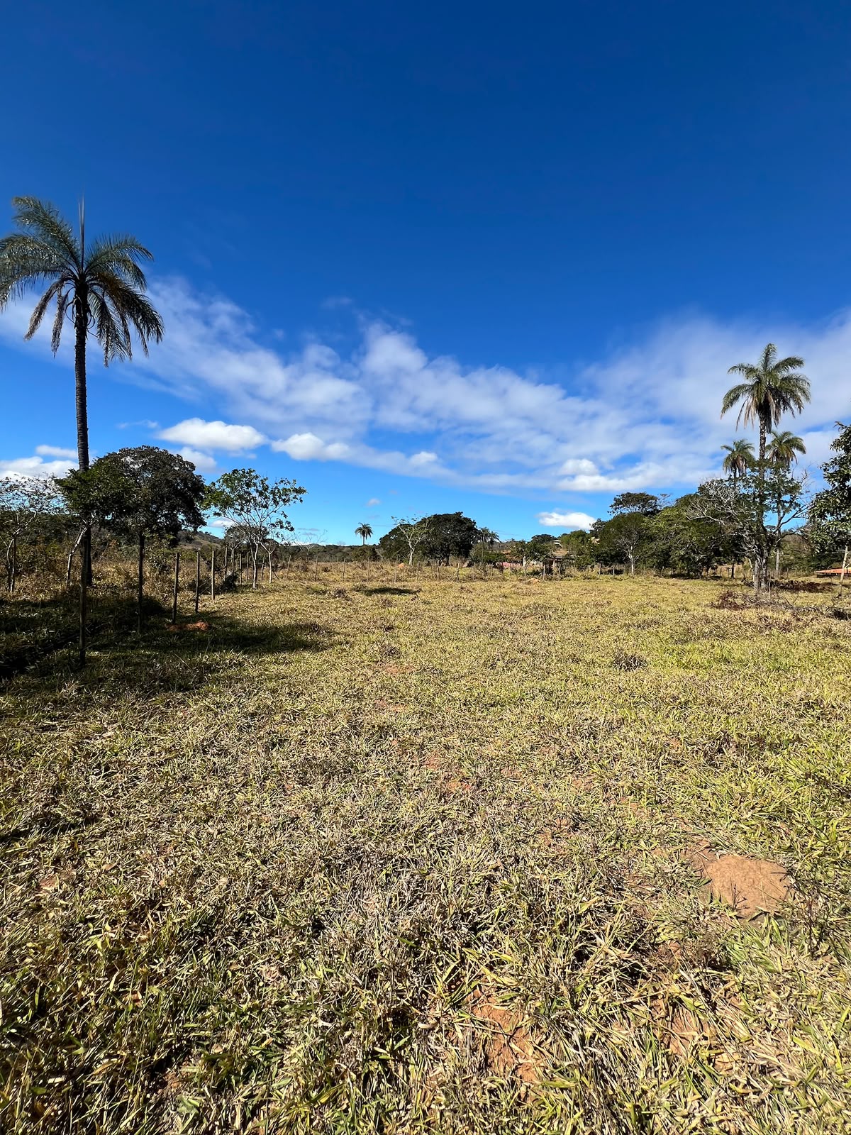Terreno Rural de 5.000m² à Venda em Jaboticatubas | Excelente Topografia e Fácil Acesso — foto 6