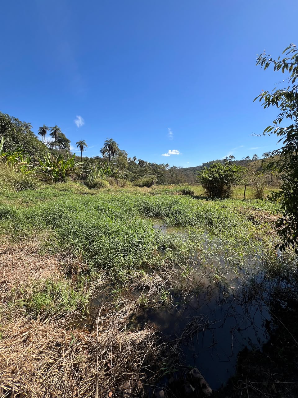 Chácara com 1.700m², Lagoa de Nascente e Vista Definitiva na Comunidade Rural de Água Limpa – Santa Luzia | R$ 380.000 — foto 2