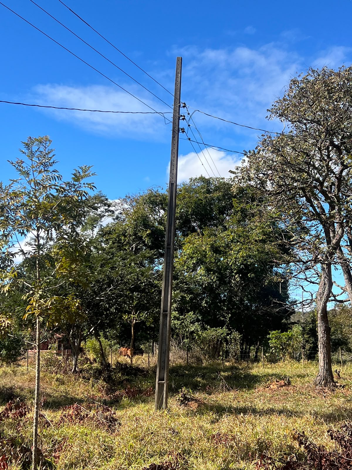 Terreno Rural de 5.000m² à Venda em Jaboticatubas | Excelente Topografia e Fácil Acesso