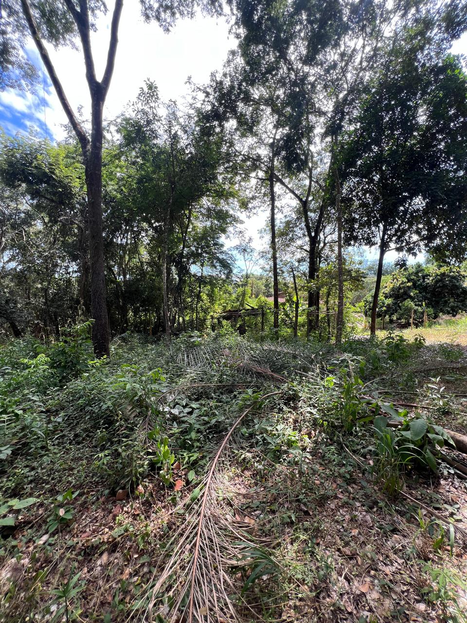 Chácara de 1.150m² à Venda em Boa Vista, Jaboticatubas MG | Terreno de Esquina — foto 3