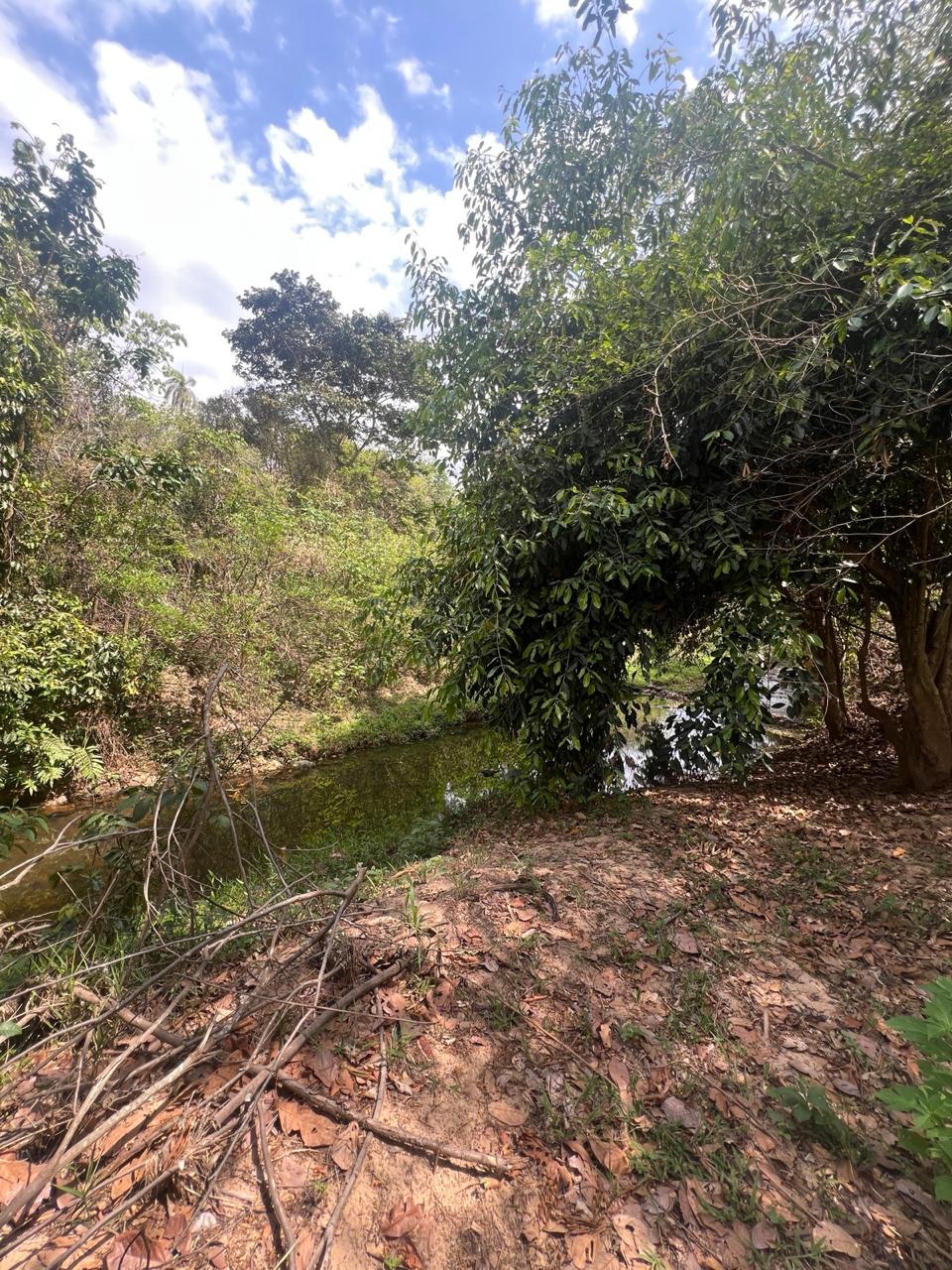 Área Rural de 40.000m² com Córrego — foto 9