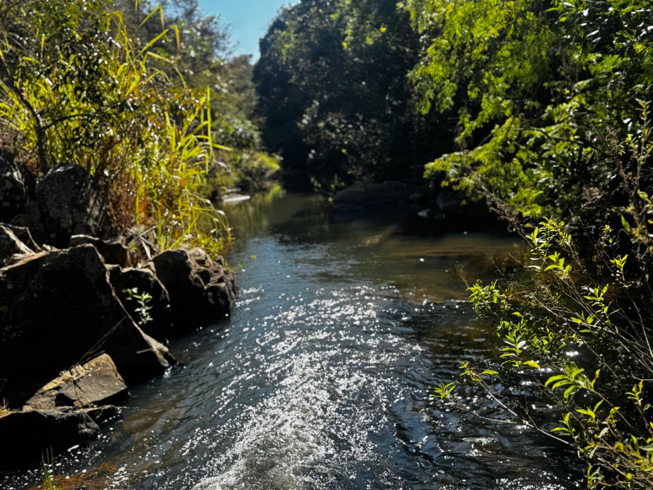 Chácaras a Partir de 3.000m² à Venda em Taquaraçu de Minas | Córrego nos Fundos e Entrada Facilitada — foto 6