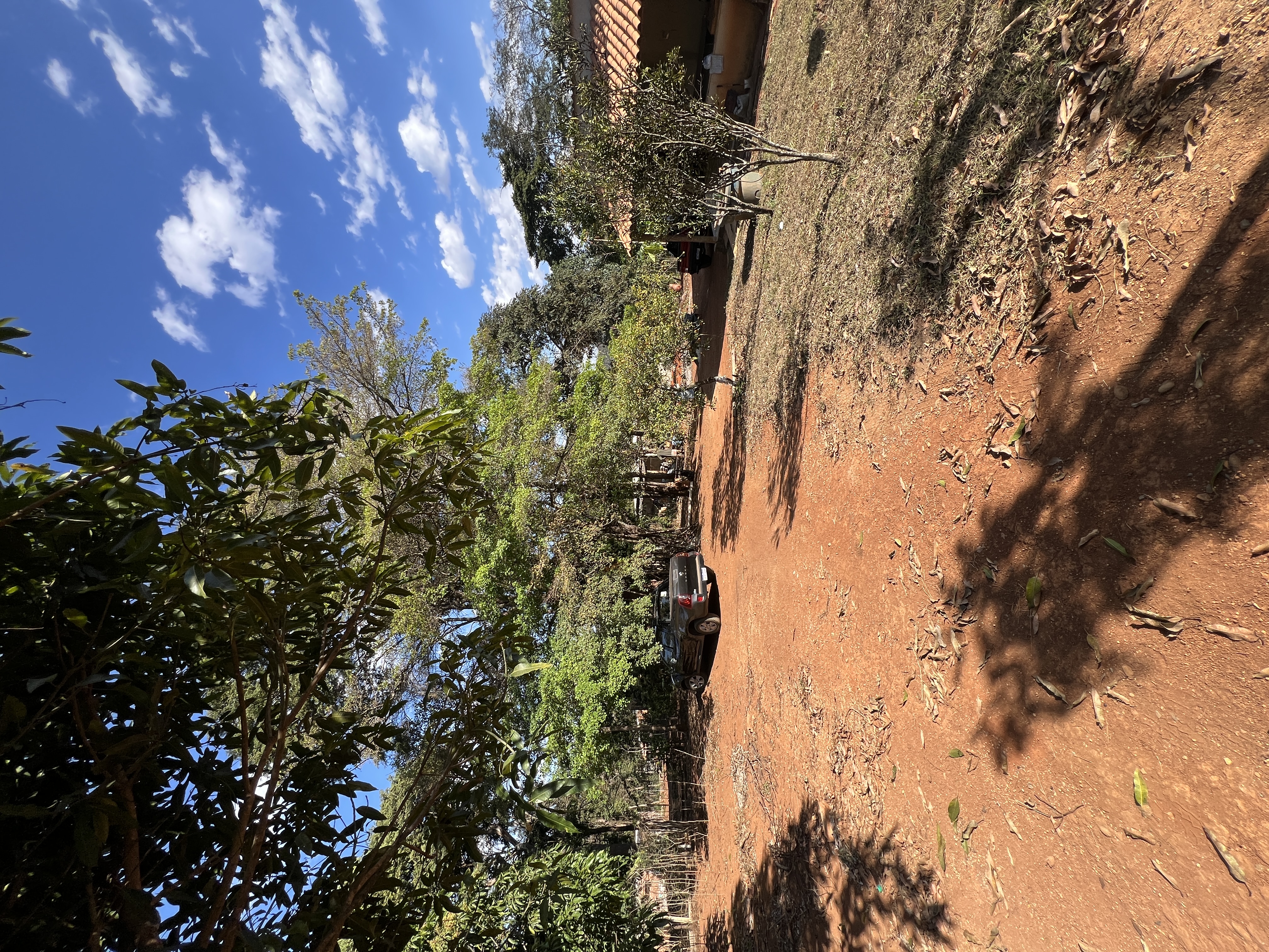 Chácara de 1.475 m² com Casa de 2 Quartos e Pomar Formado em Jaboticatubas — foto 32
