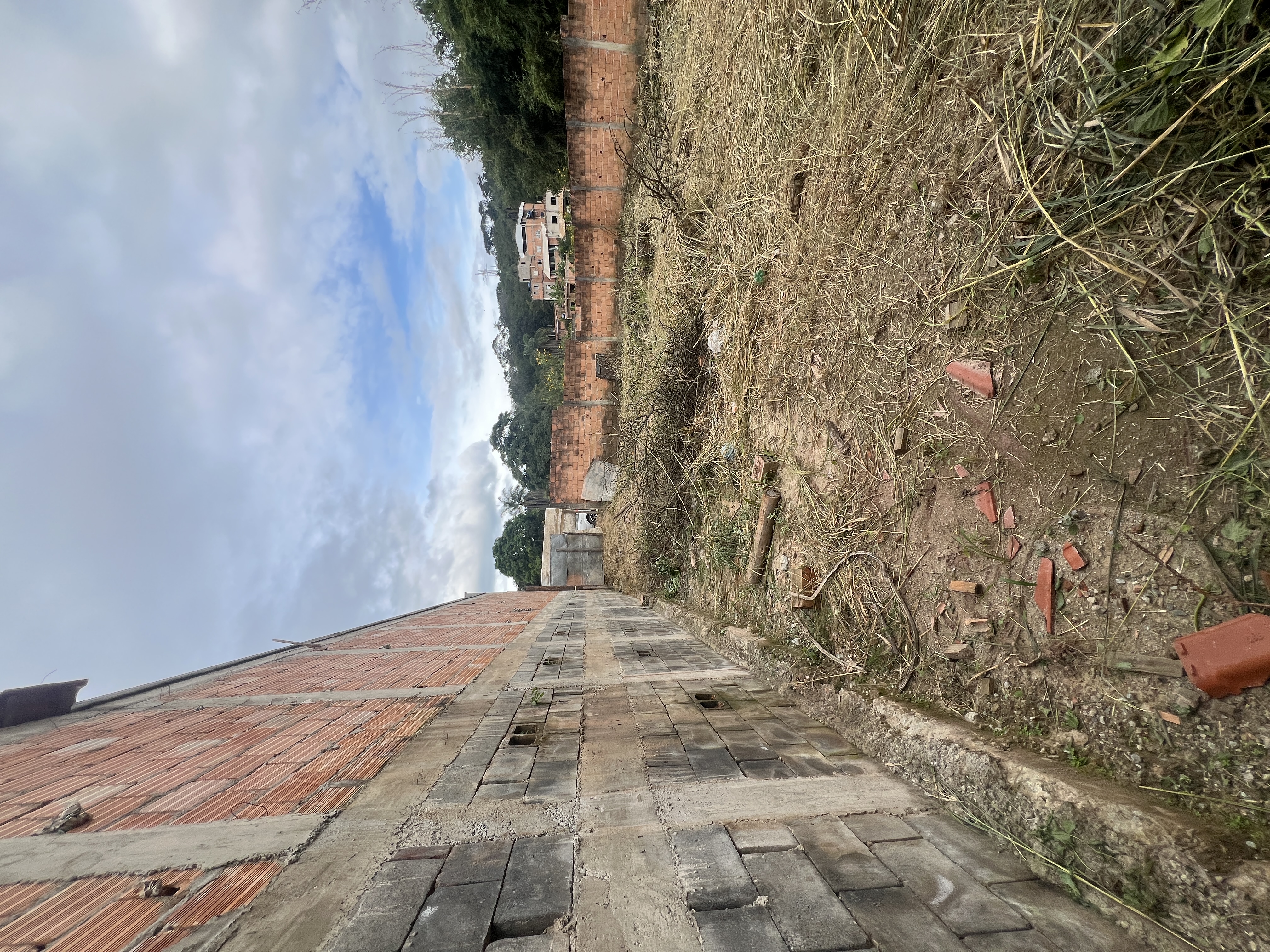 Lote Plano no Bom Jesus — foto 7