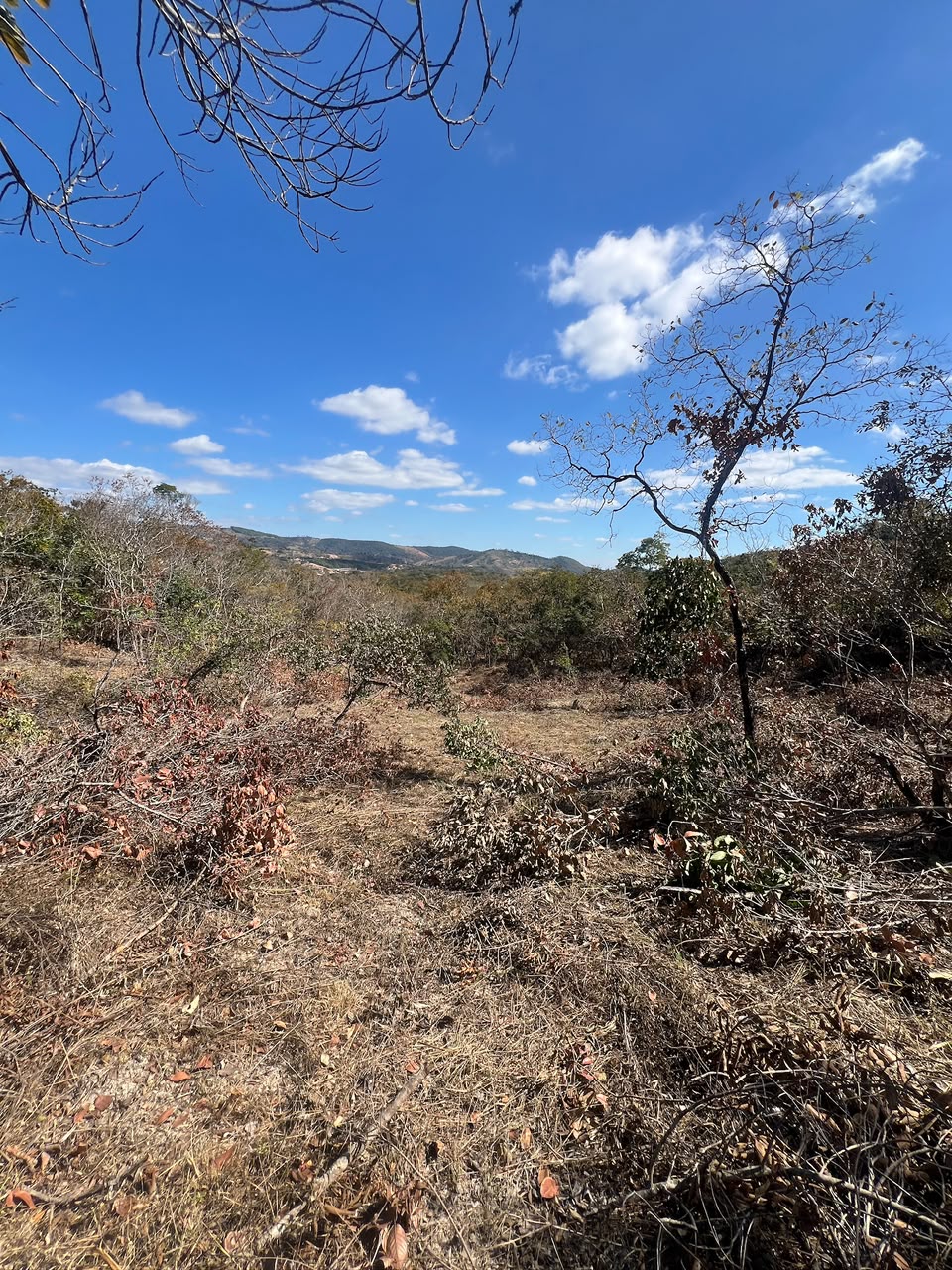 Chácaras Urbanas com Matrícula Individualizada em Taquaraçu de Minas | A partir de R$ 167 mil — foto 6