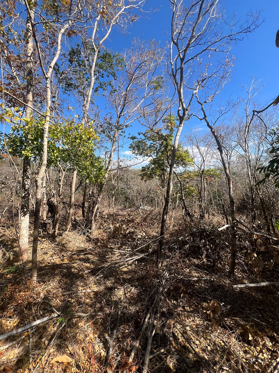 Chácaras Urbanas com Matrícula Individualizada em Taquaraçu de Minas | A partir de R$ 167 mil — foto 5