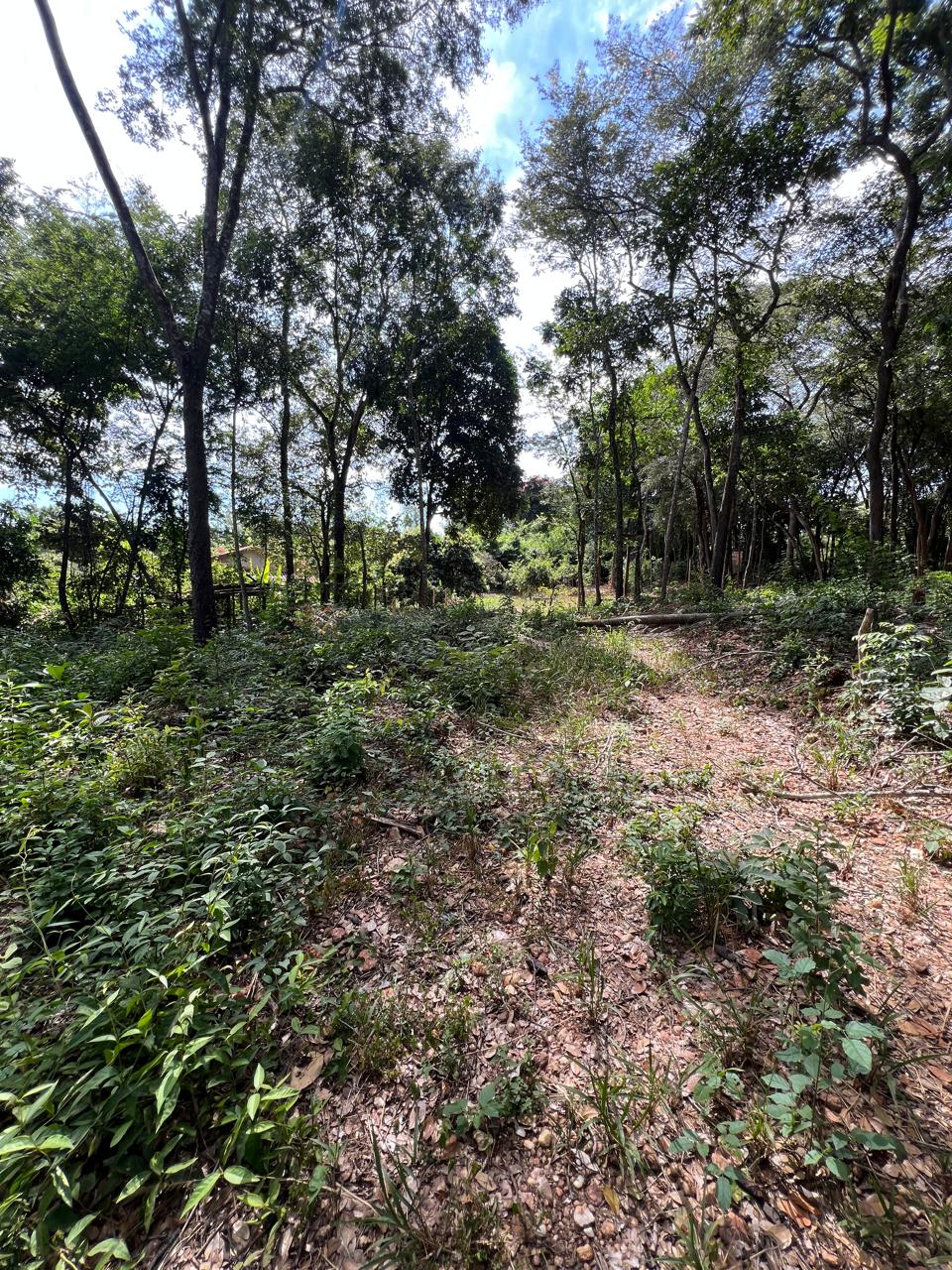 Chácara de 1.150m² à Venda em Boa Vista, Jaboticatubas MG | Terreno de Esquina — foto 9