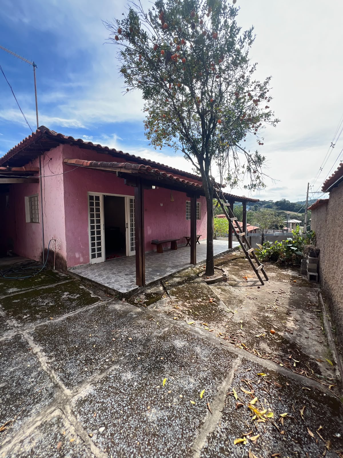 Chácara com Casa Ampla e Pomar Formado