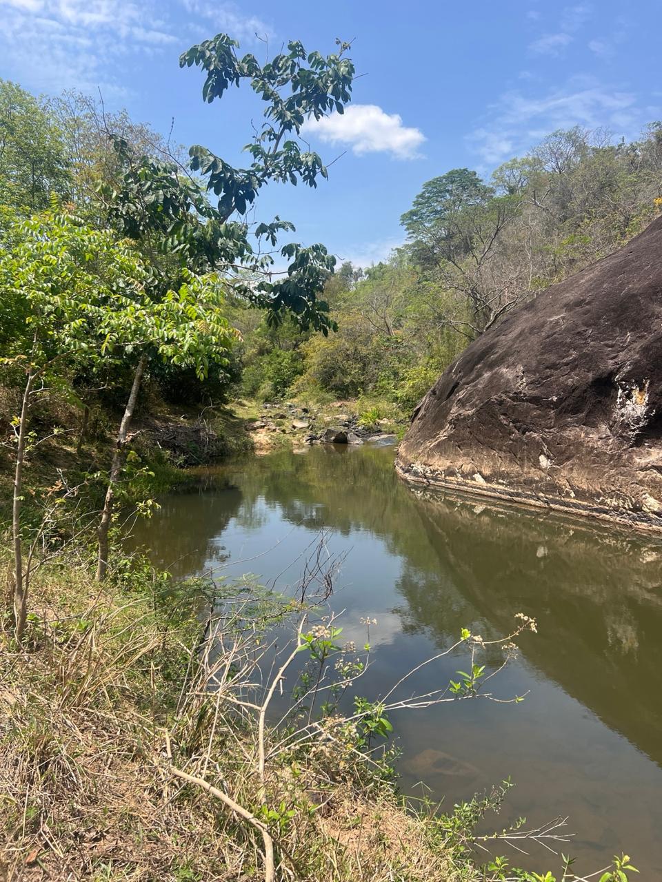 Área Rural de 40.000m² com Córrego — foto 2