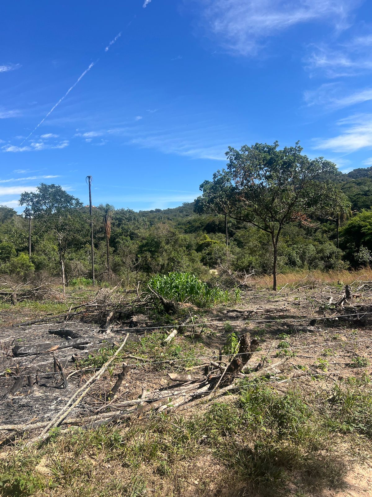 Chácaras de 4.600m² e 5.000m² próximo do córrego — foto 10