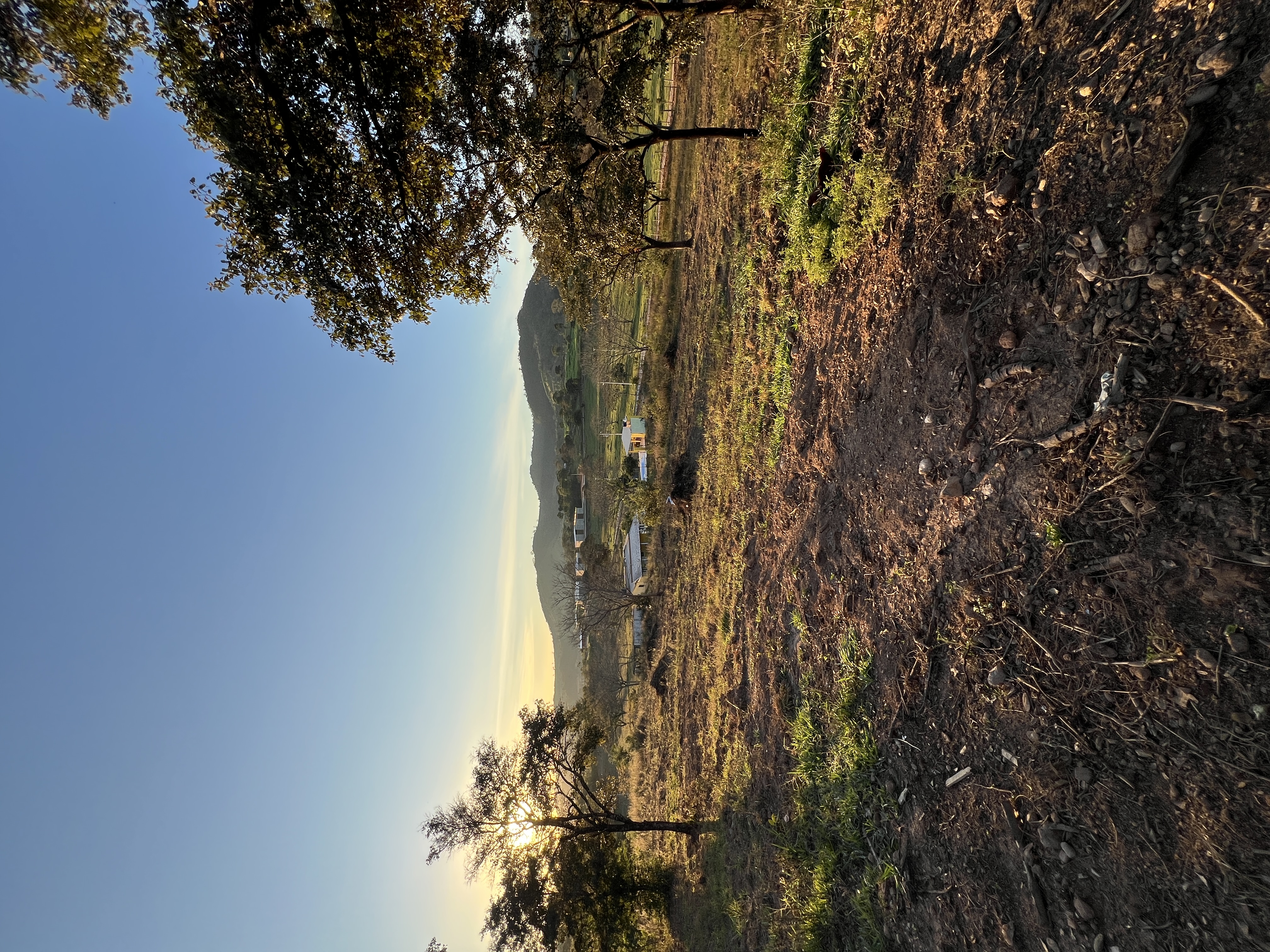 Terreno de 10.000m² Próximo à Rodovia — foto 4