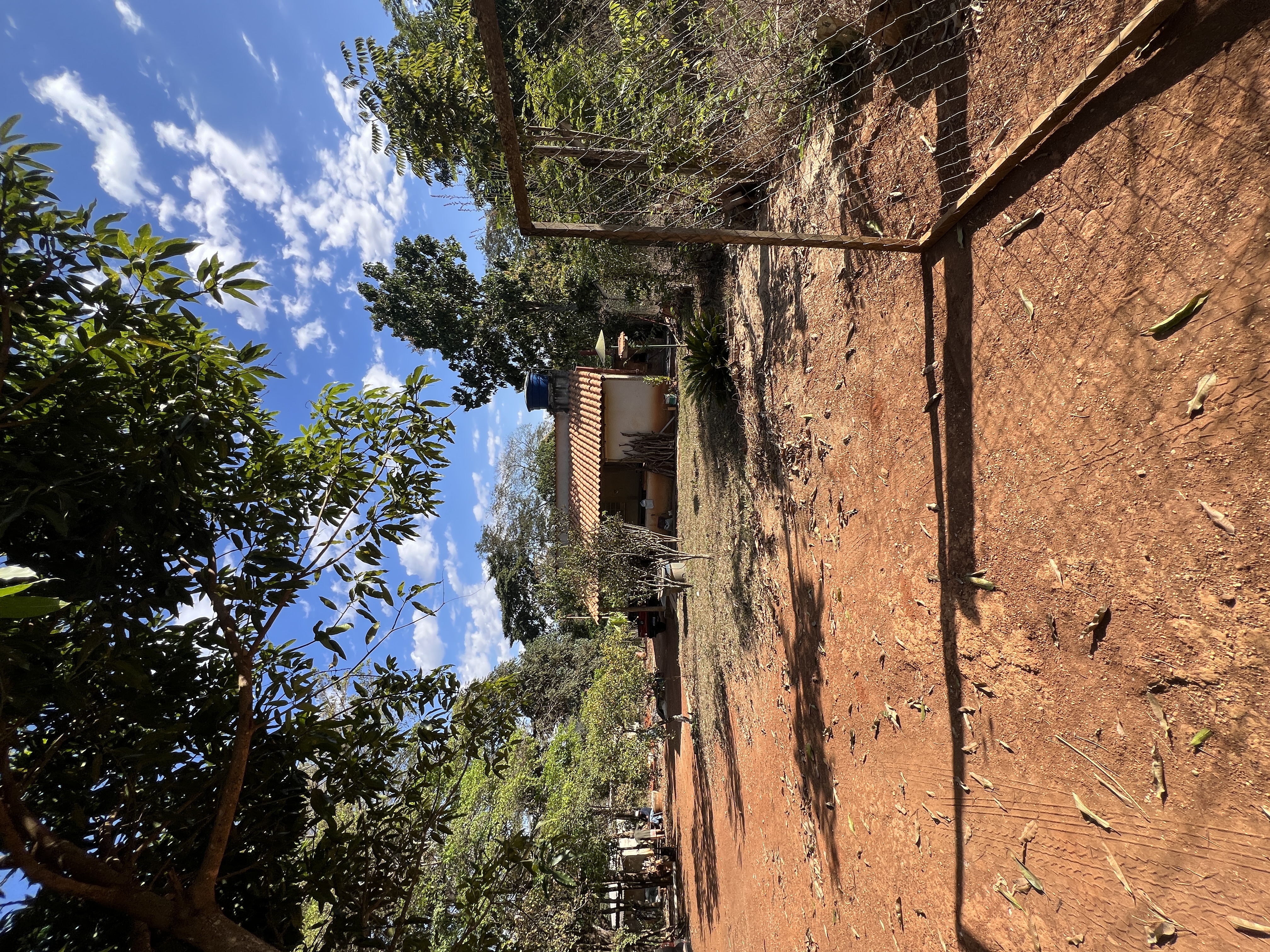 Chácara de 1.475 m² com Casa de 2 Quartos e Pomar Formado em Jaboticatubas — foto 33