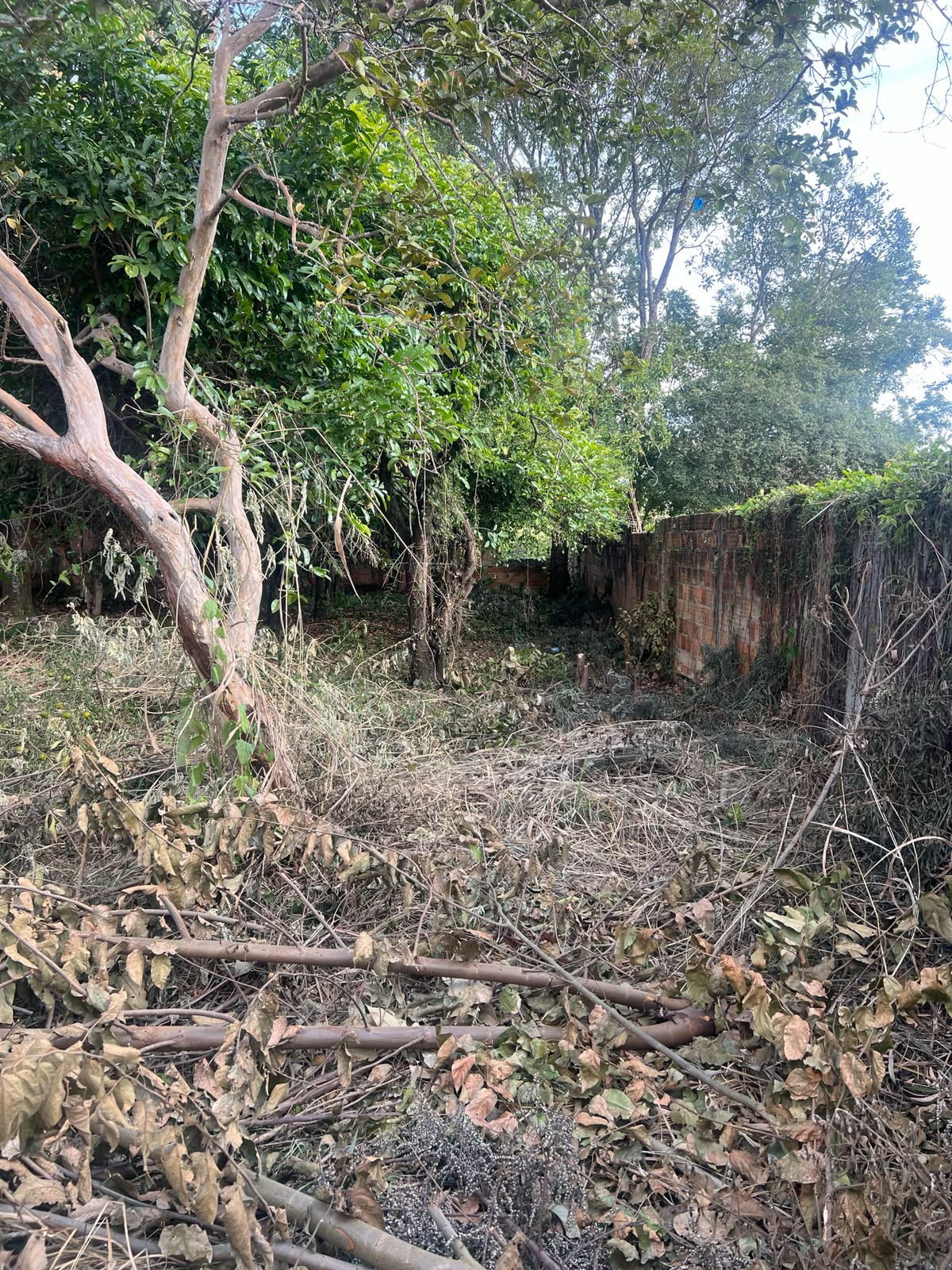 Lote Grande Plano Pronto para Construir — foto 7