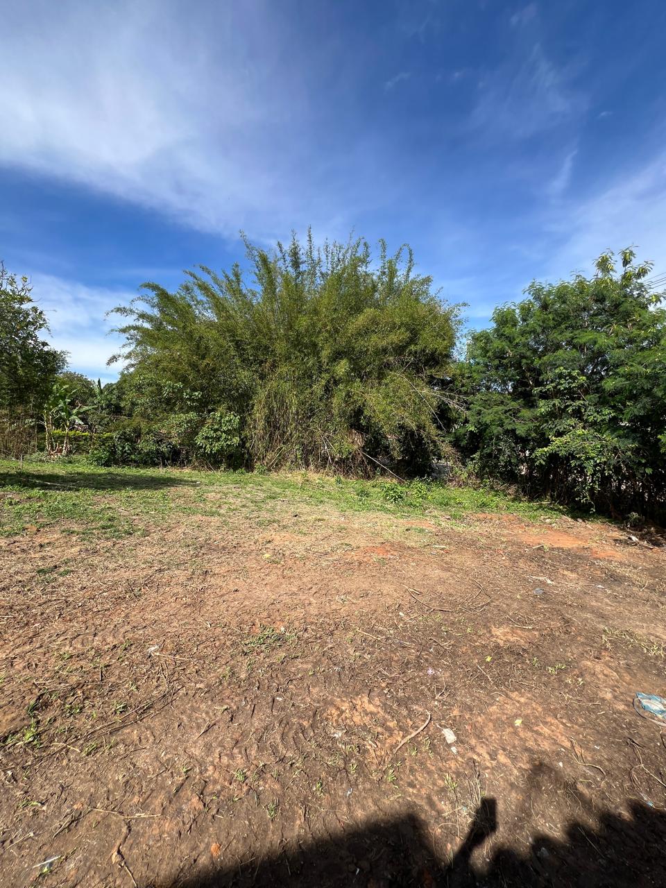 Lote de 320m² na Rua Principal do Barreiro do Amaral — foto 6