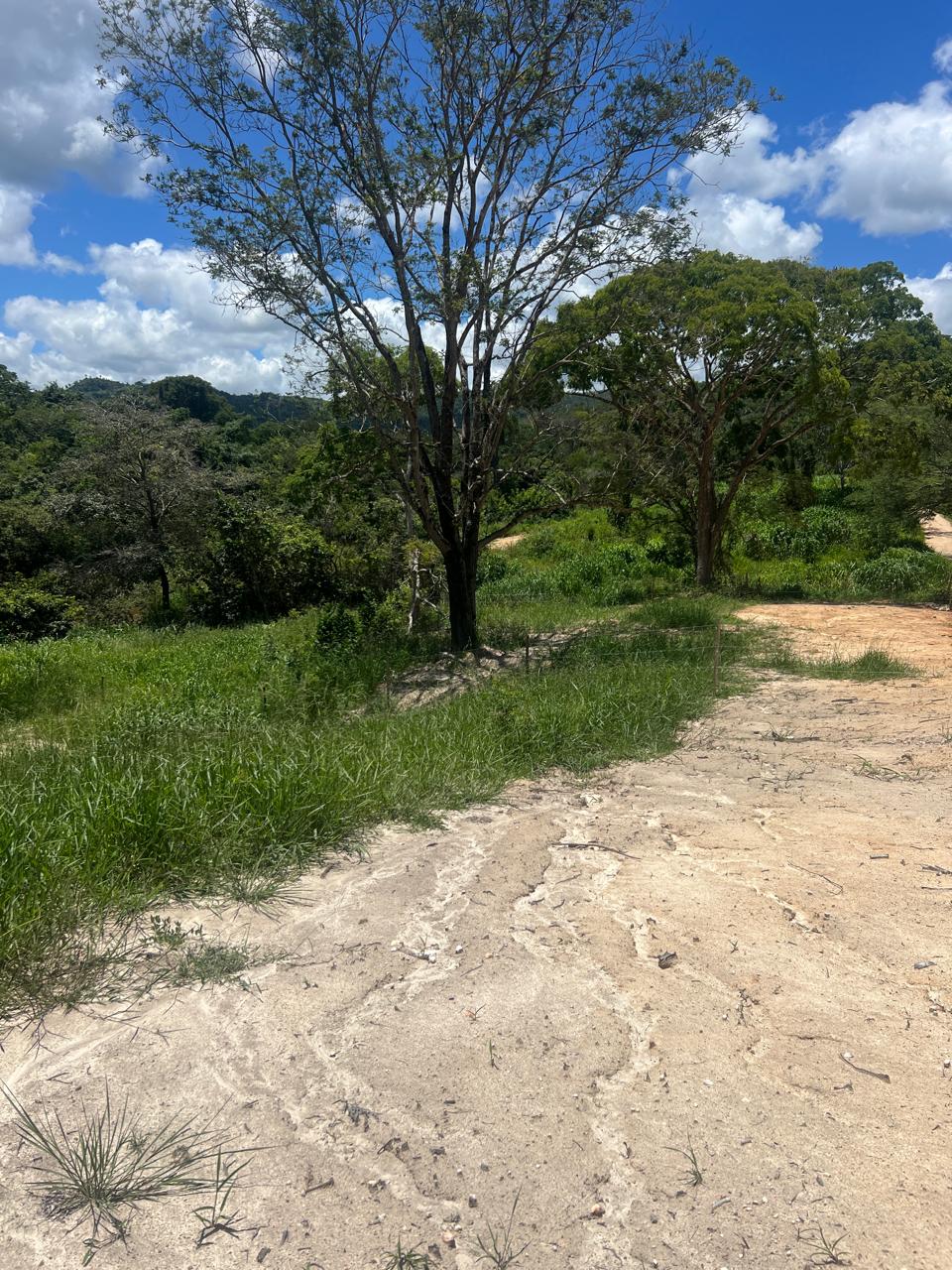 Terreno de 5.000m² com Fundo para o Rio Taquaraçu a Apenas 2 km do Centro | Rio do Peixe – Taquaraçu de Minas | R$ 297.000 — foto 3