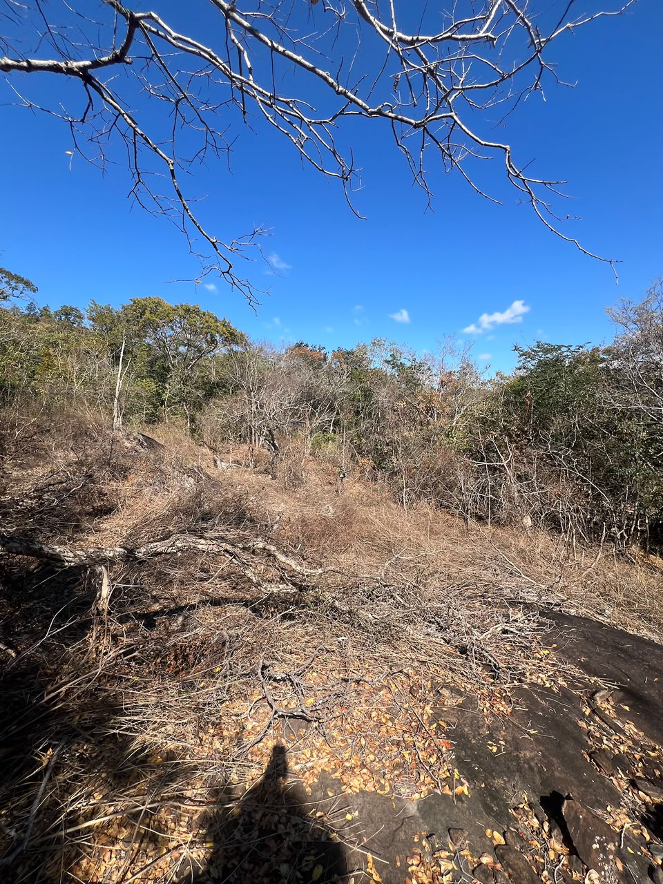 Chácaras Urbanas com Matrícula Individualizada em Taquaraçu de Minas | A partir de R$ 167 mil — foto 4