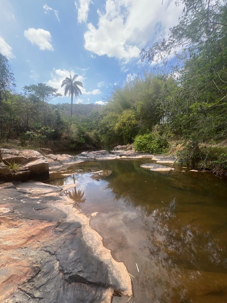 Área Rural de 40.000m² com Córrego — foto 3