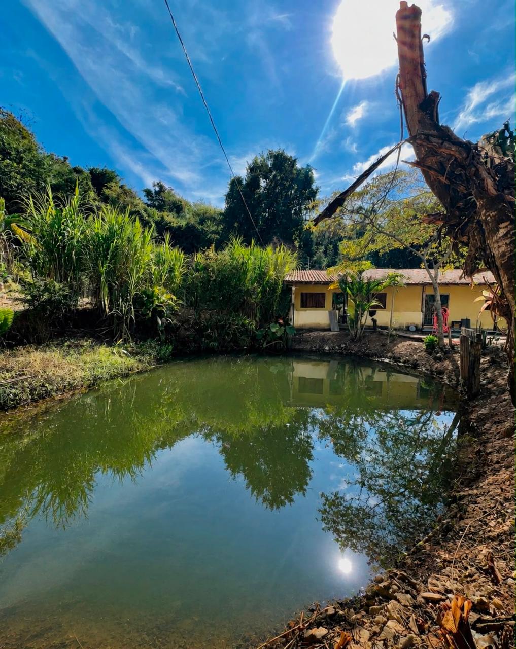 Chácara com Lago no Bairro Bom Jesus — foto 16