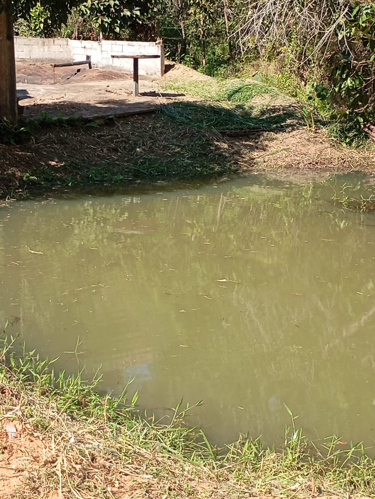 Sítio à Venda em Taquaraçu de Minas | Casas Velhas | 8.700m² com Nascente, Lagoa e Piscina — foto 7