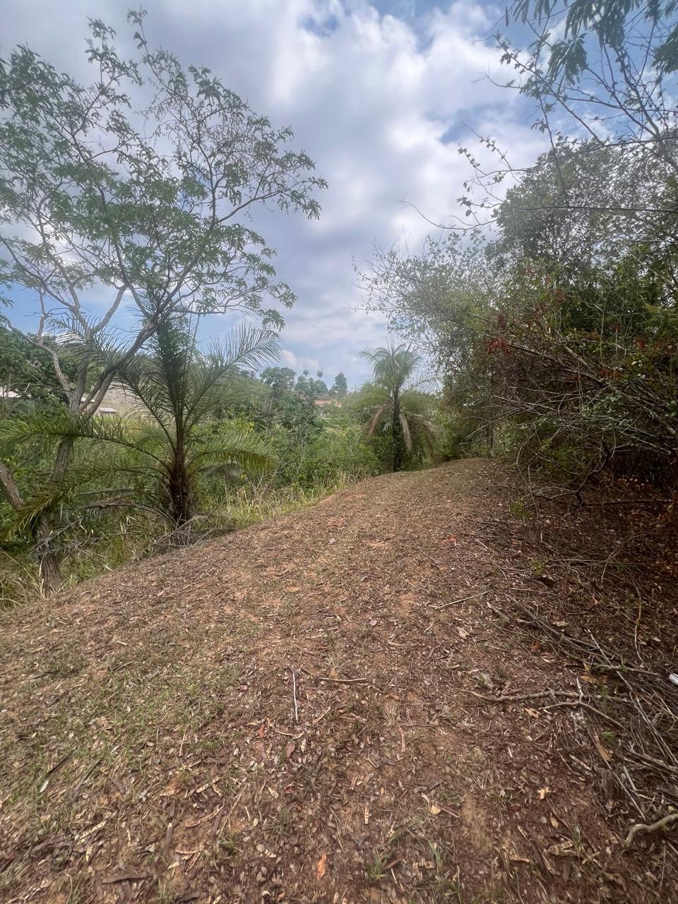 Área Rural de 40.000m² com Córrego — foto 6