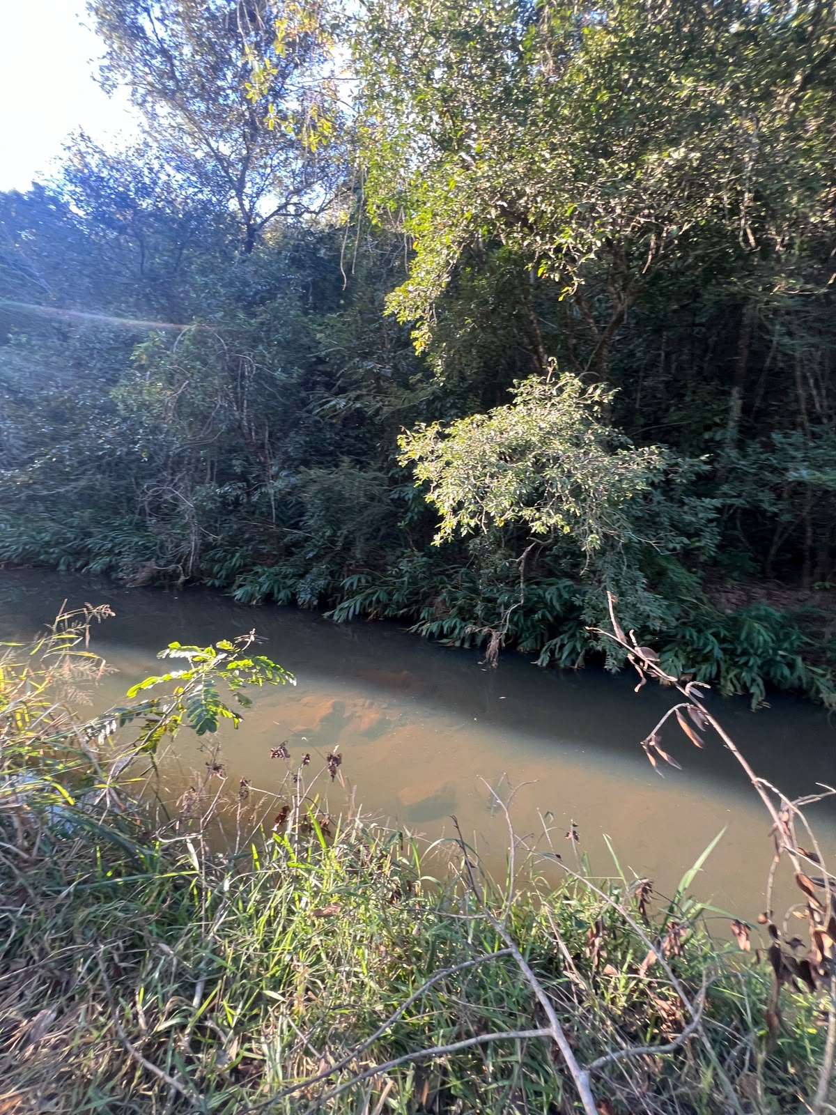 Chácaras a Partir de 3.000m² à Venda em Taquaraçu de Minas | Córrego nos Fundos e Entrada Facilitada — foto 9