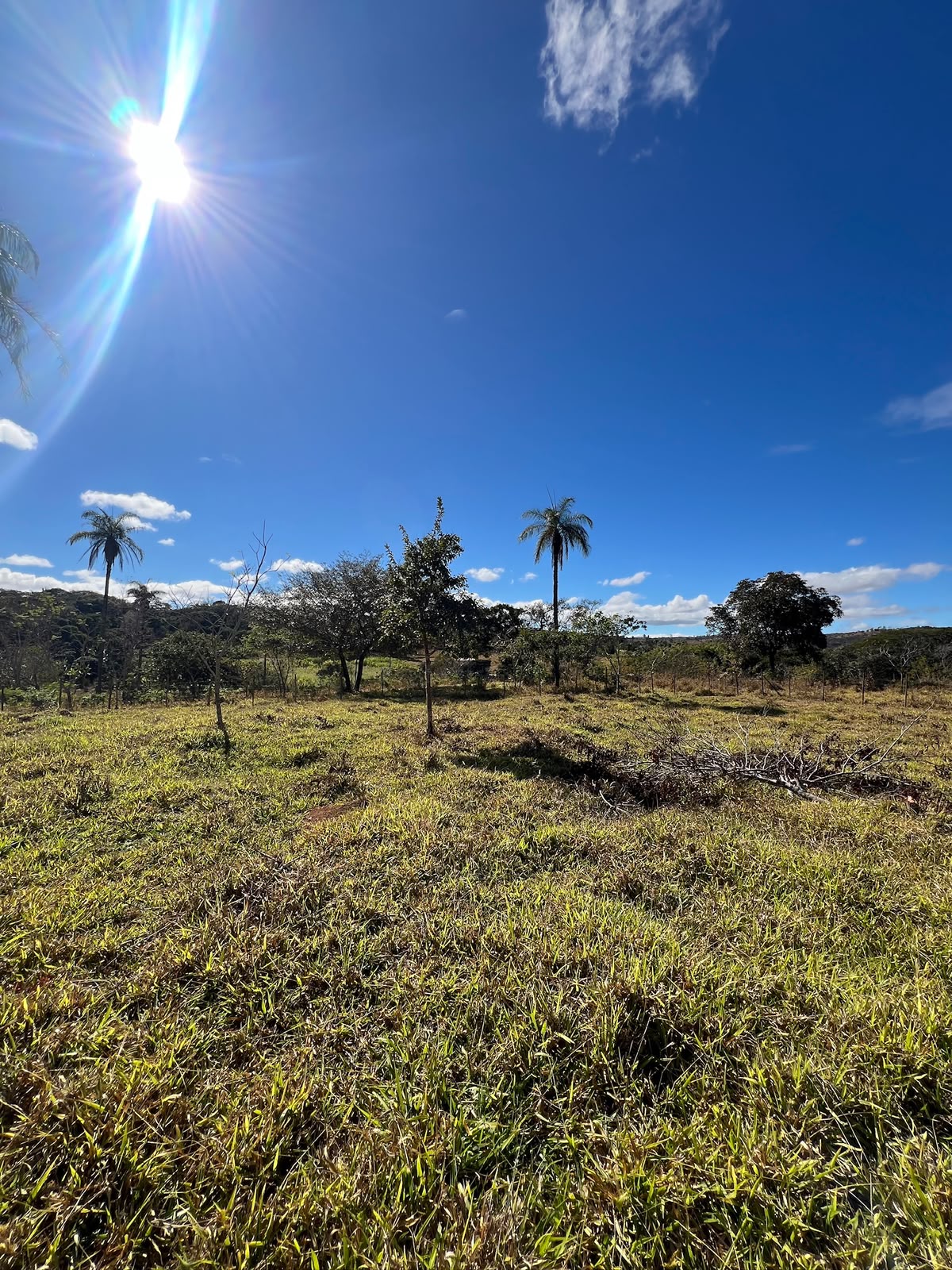 Terreno Rural de 5.000m² à Venda em Jaboticatubas | Excelente Topografia e Fácil Acesso — foto 8