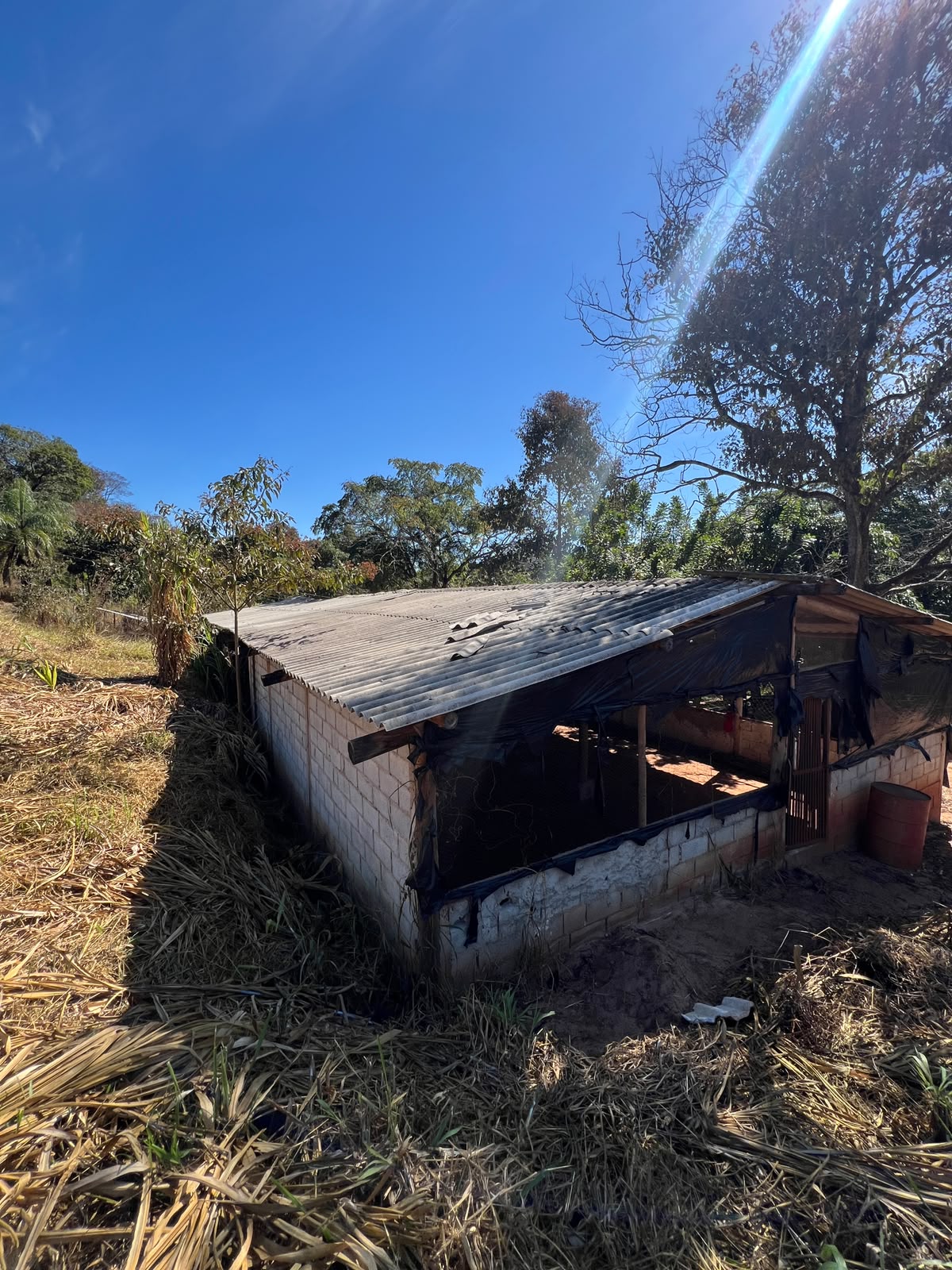 Terreno Rural de 1500 com Galpão em Santa Luzia