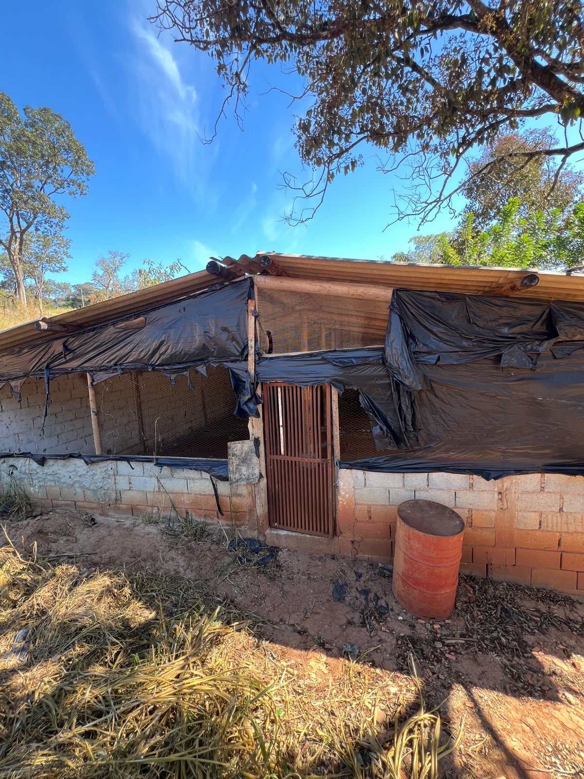 Terreno Rural de 1500 com Galpão em Santa Luzia — foto 3