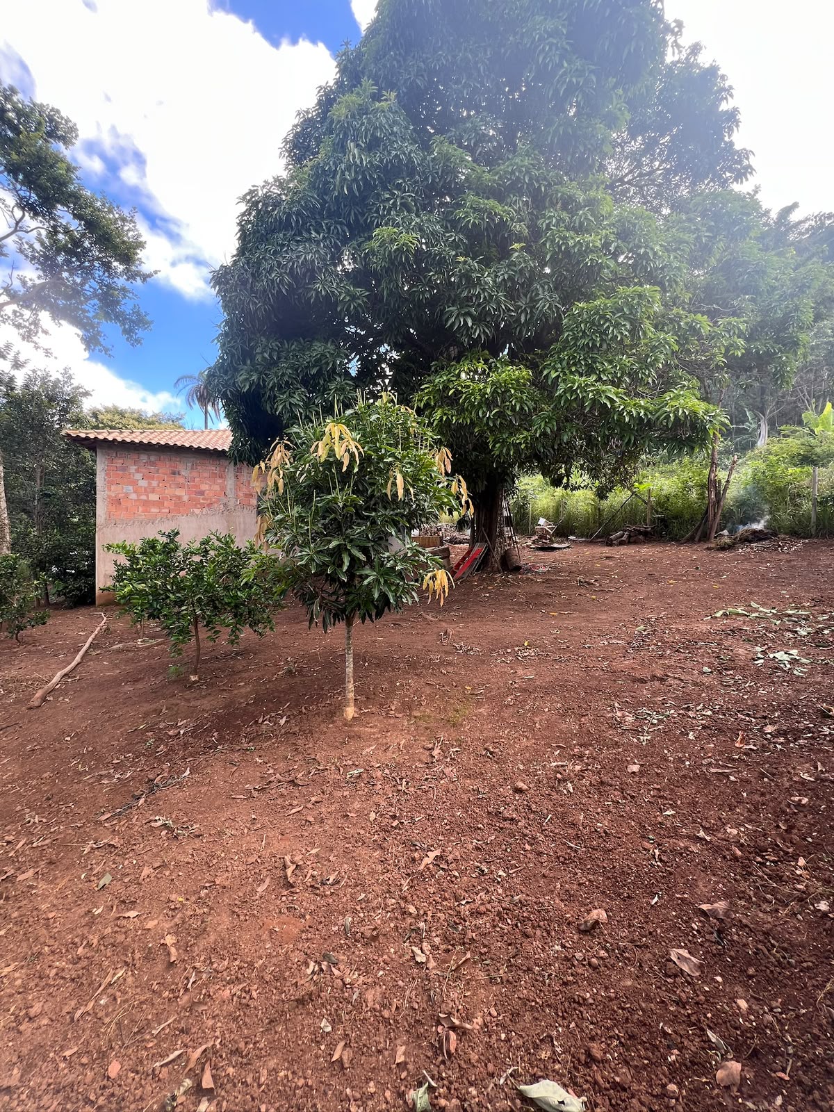 Chácara de 1.000m² à Venda em Taquaraçu de Minas | Casa Colonial em Construção e Excelente Localização — foto 8