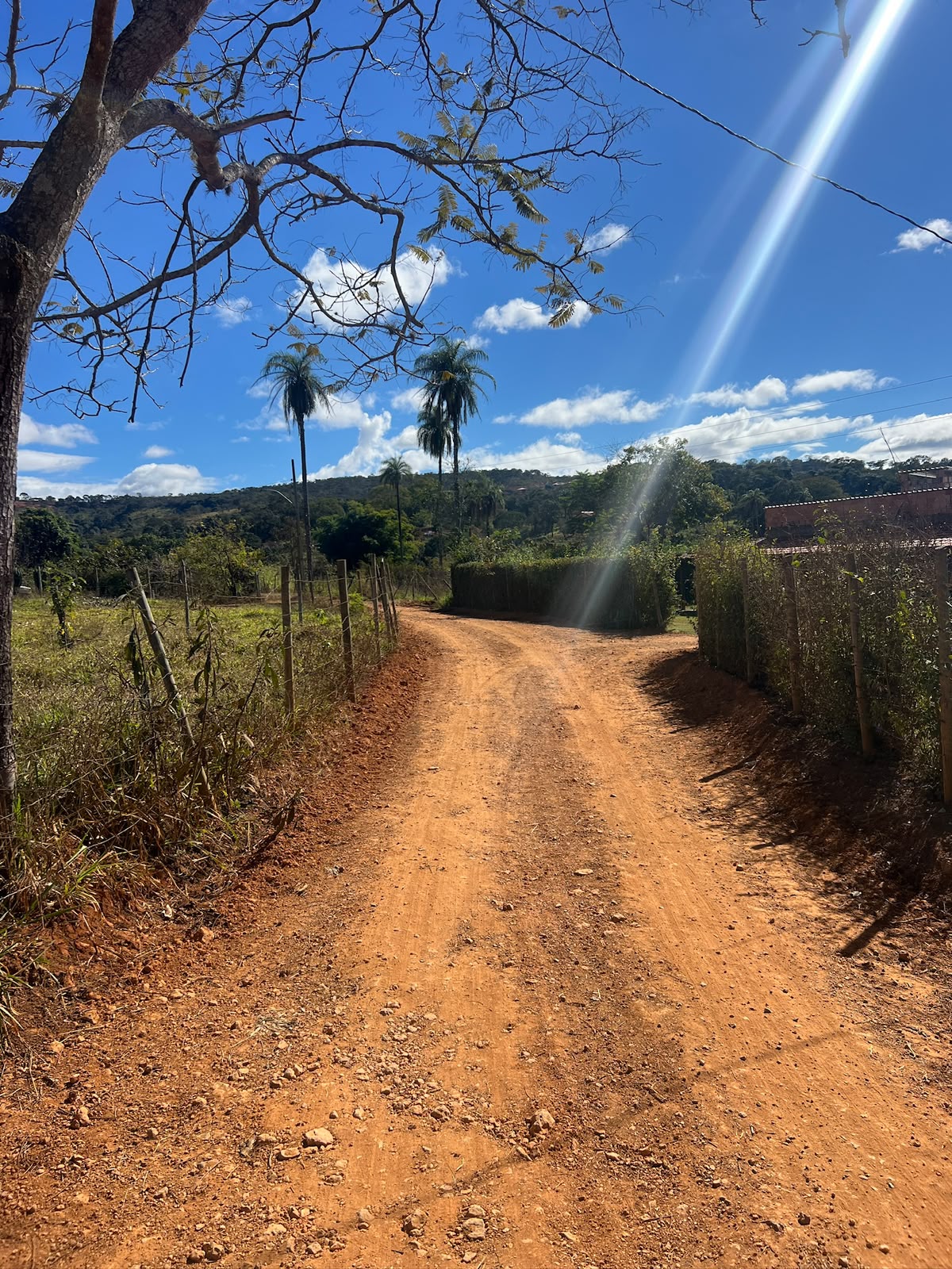 Terreno Rural de 5.000m² à Venda em Jaboticatubas | Excelente Topografia e Fácil Acesso — foto 4