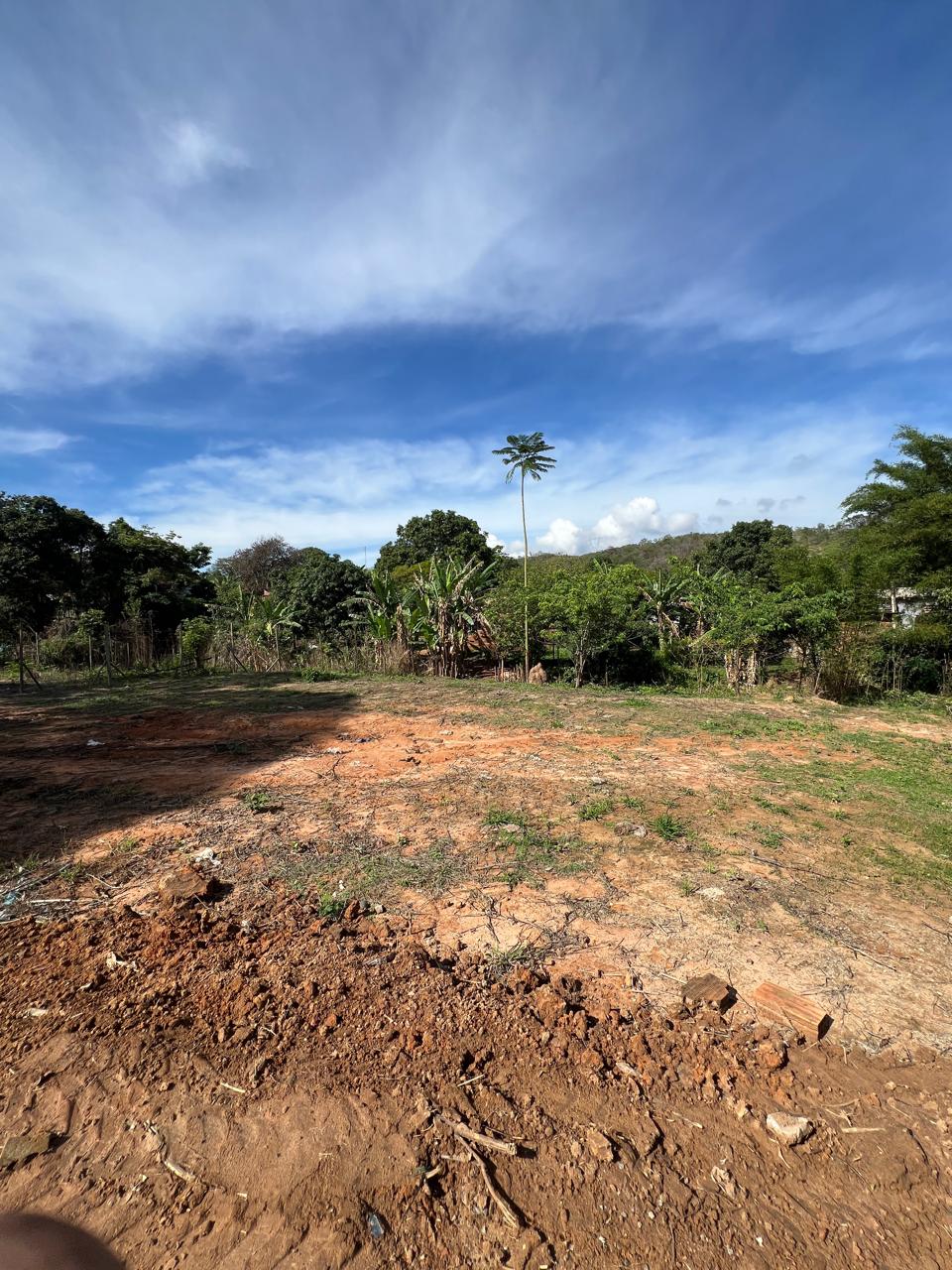 Lote de 320m² na Rua Principal do Barreiro do Amaral