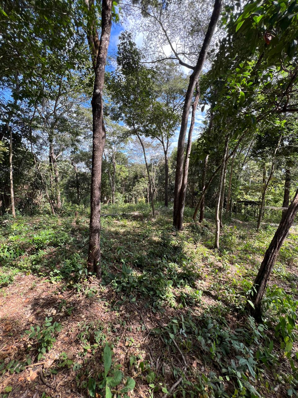 Chácara de 1.150m² à Venda em Boa Vista, Jaboticatubas MG | Terreno de Esquina