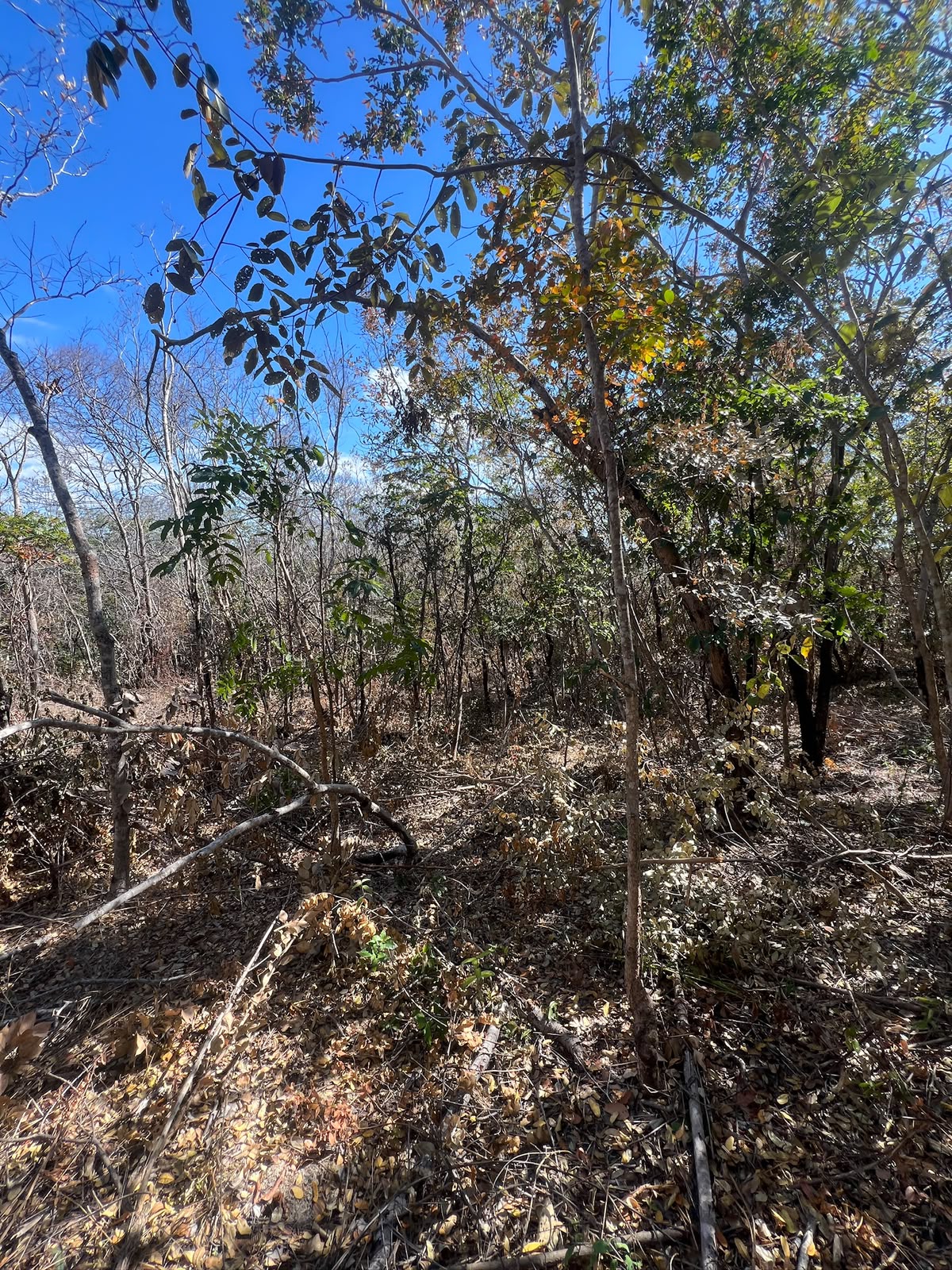 Chácaras Urbanas com Matrícula Individualizada em Taquaraçu de Minas | A partir de R$ 167 mil — foto 2