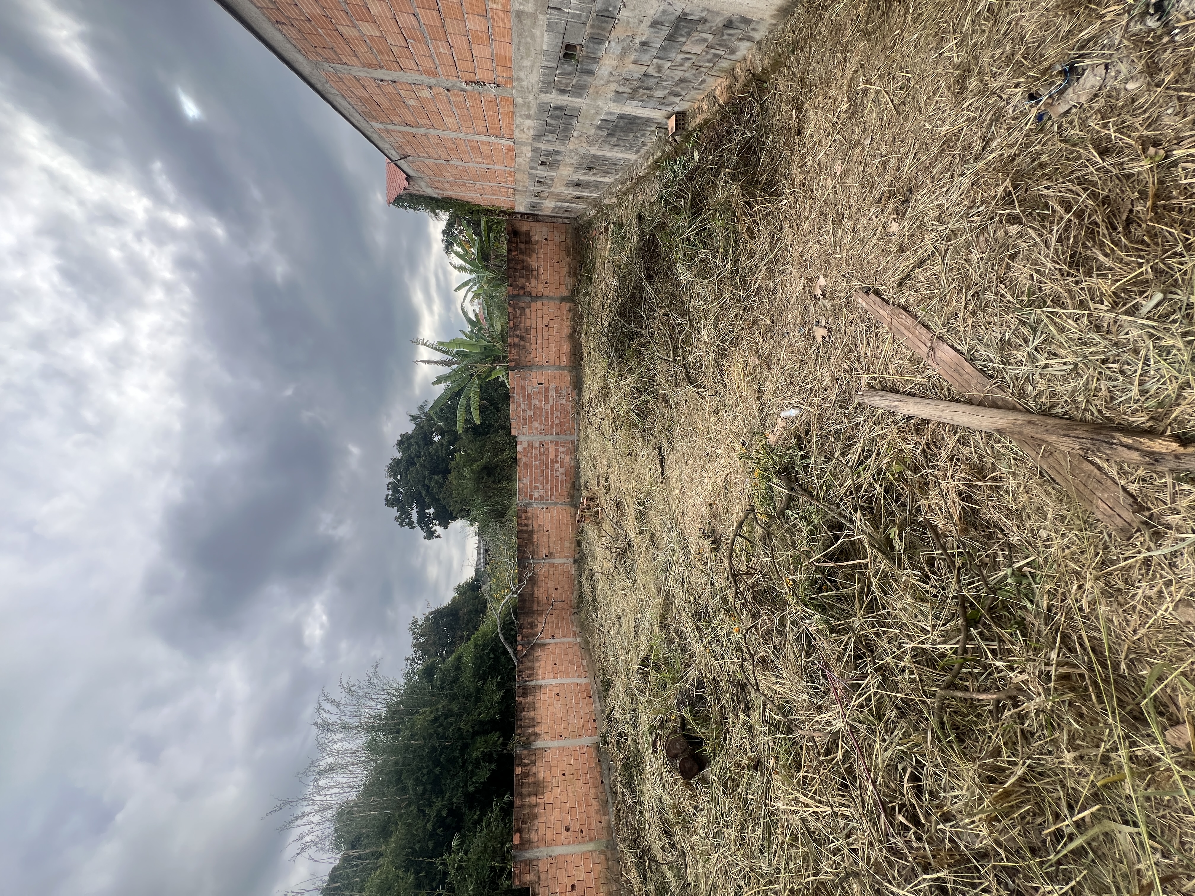 Lote Plano no Bom Jesus — foto 11
