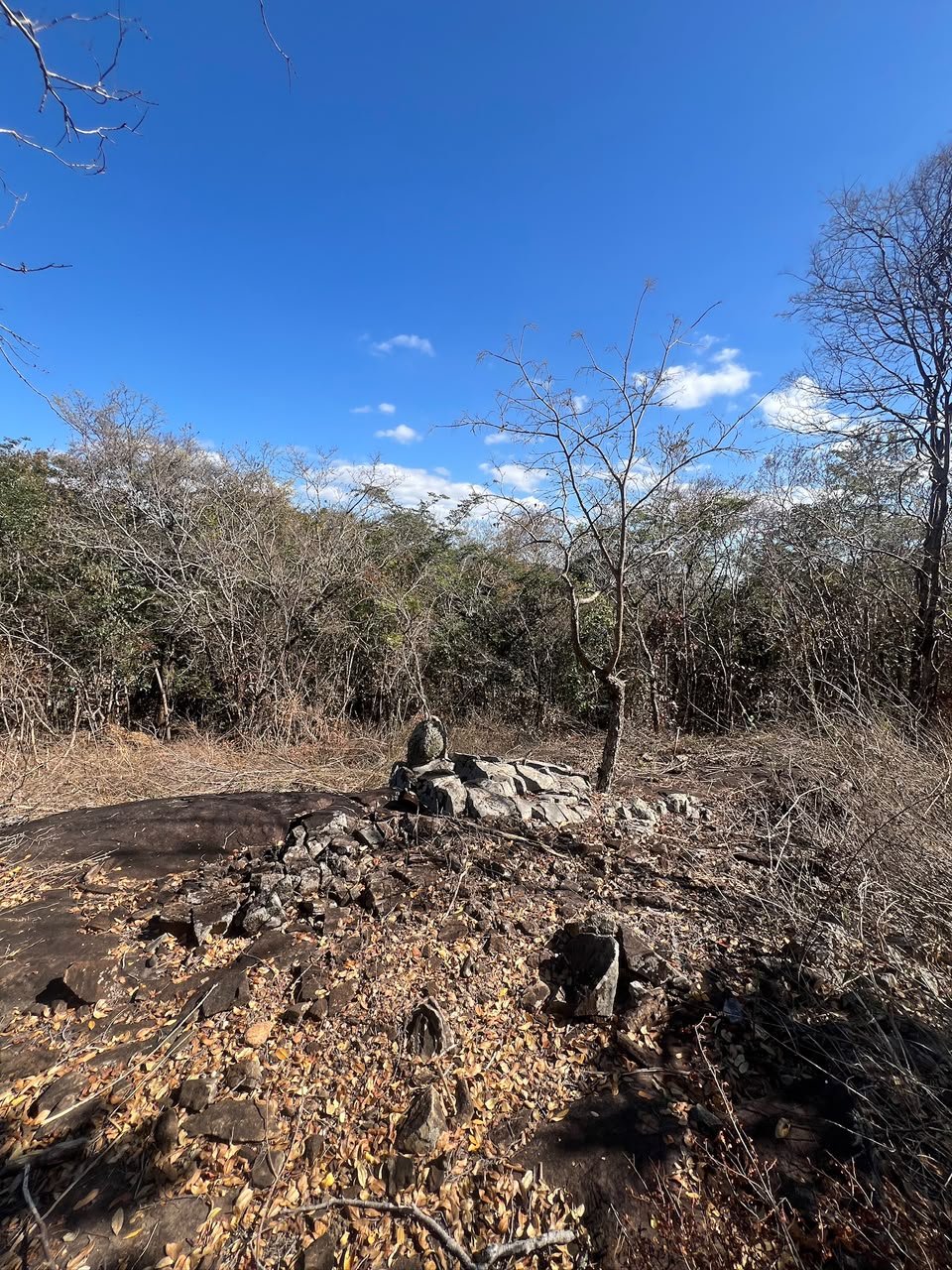 Chácaras Urbanas com Matrícula Individualizada em Taquaraçu de Minas | A partir de R$ 167 mil — foto 3