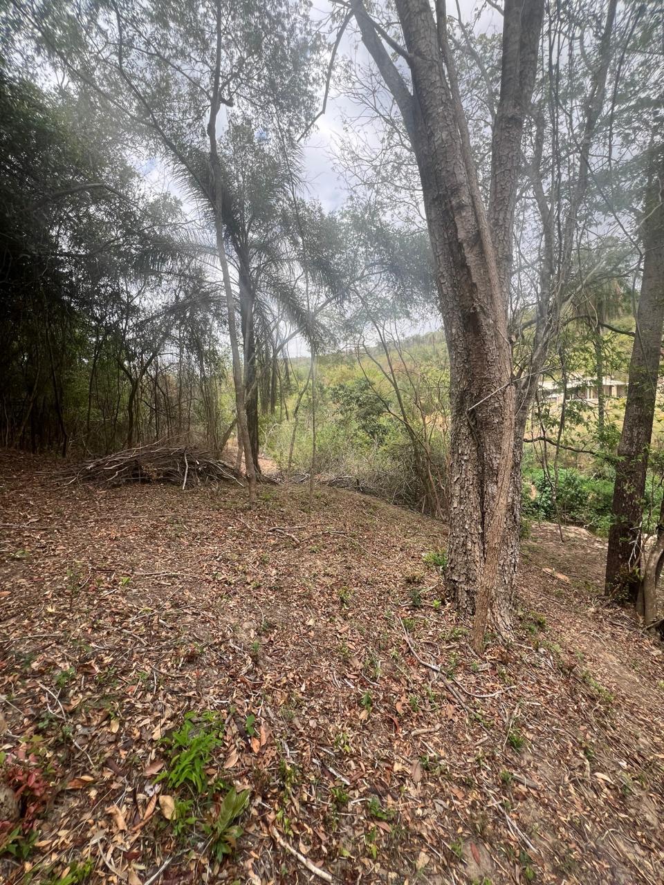 Área Rural de 40.000m² com Córrego — foto 11