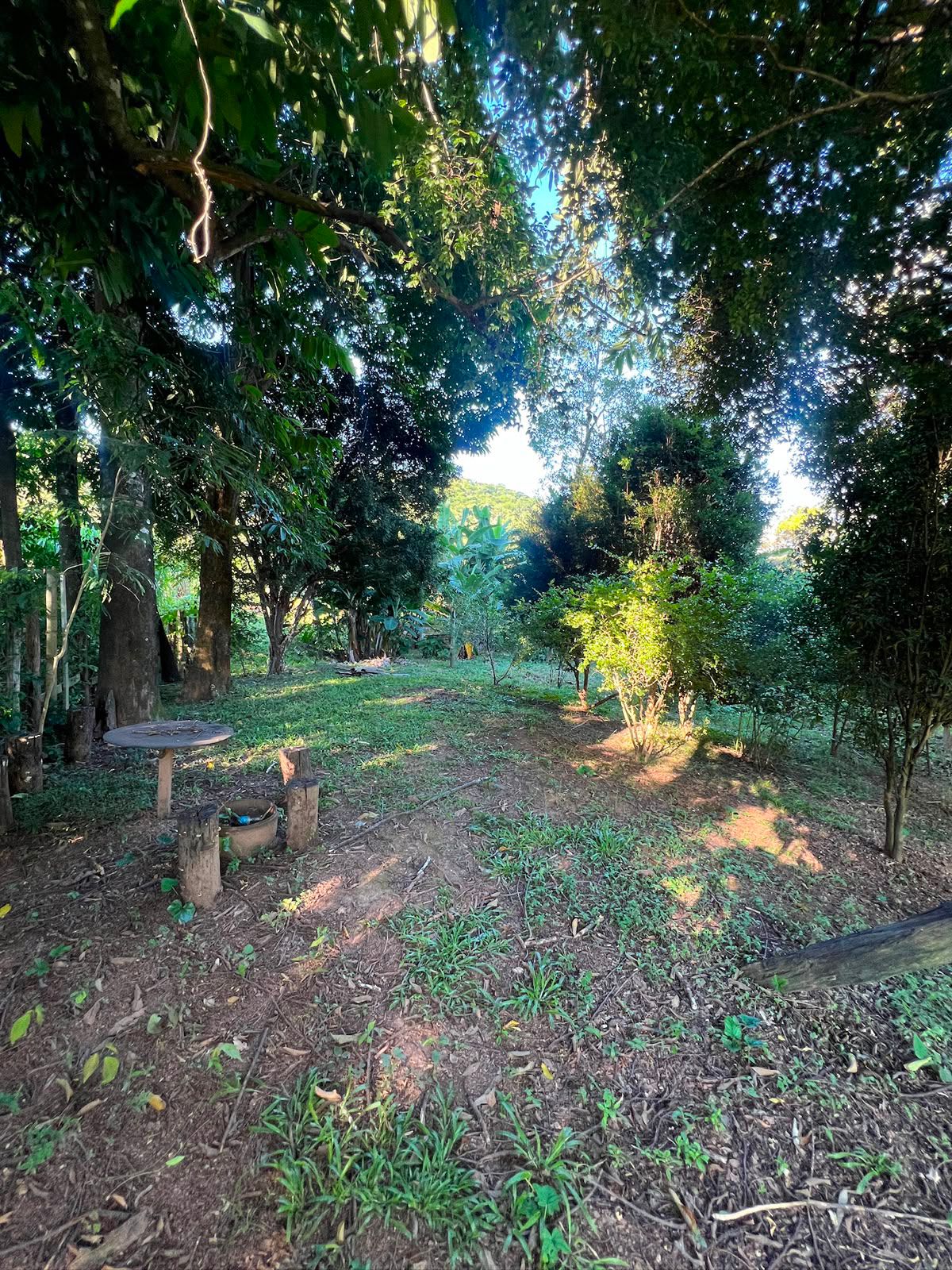Chácara dentro da cidade com Pomar — foto 7