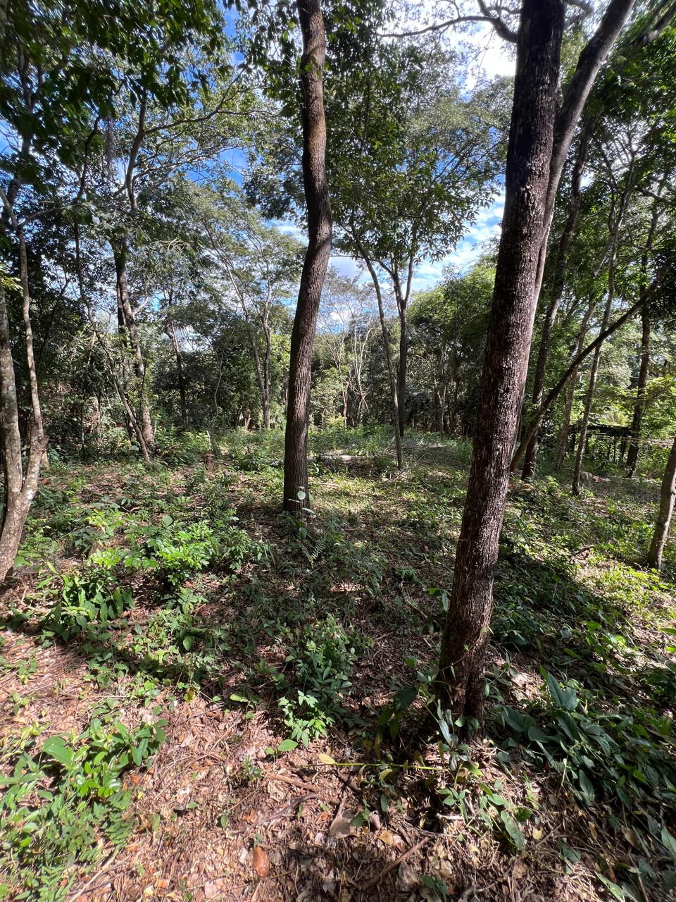 Chácara de 1.150m² à Venda em Boa Vista, Jaboticatubas MG | Terreno de Esquina — foto 6