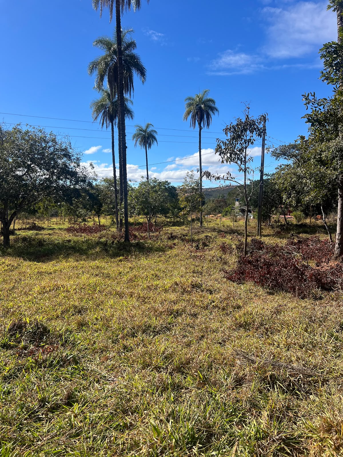 Terreno Rural de 5.000m² à Venda em Jaboticatubas | Excelente Topografia e Fácil Acesso — foto 9