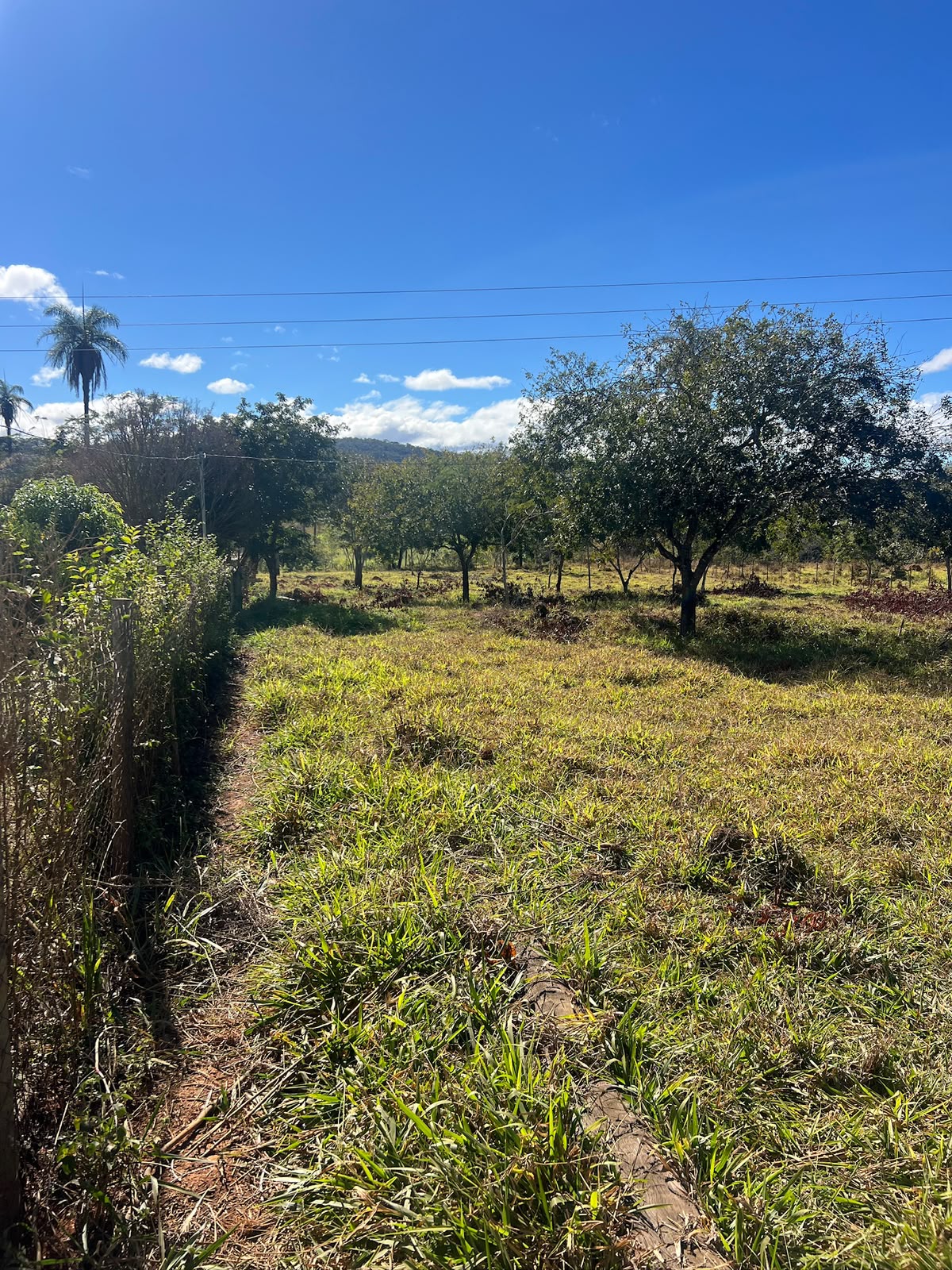 Terreno Rural de 5.000m² à Venda em Jaboticatubas | Excelente Topografia e Fácil Acesso — foto 10