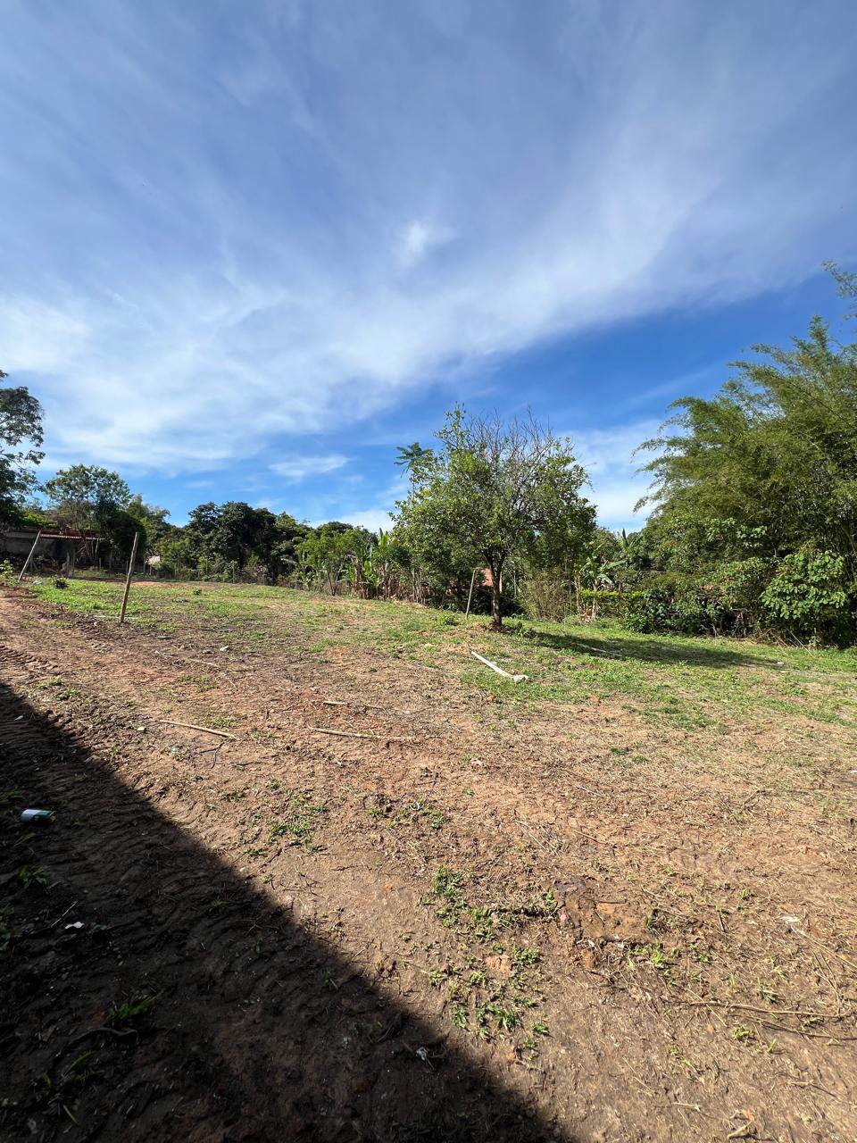 Lote de 320m² na Rua Principal do Barreiro do Amaral — foto 7
