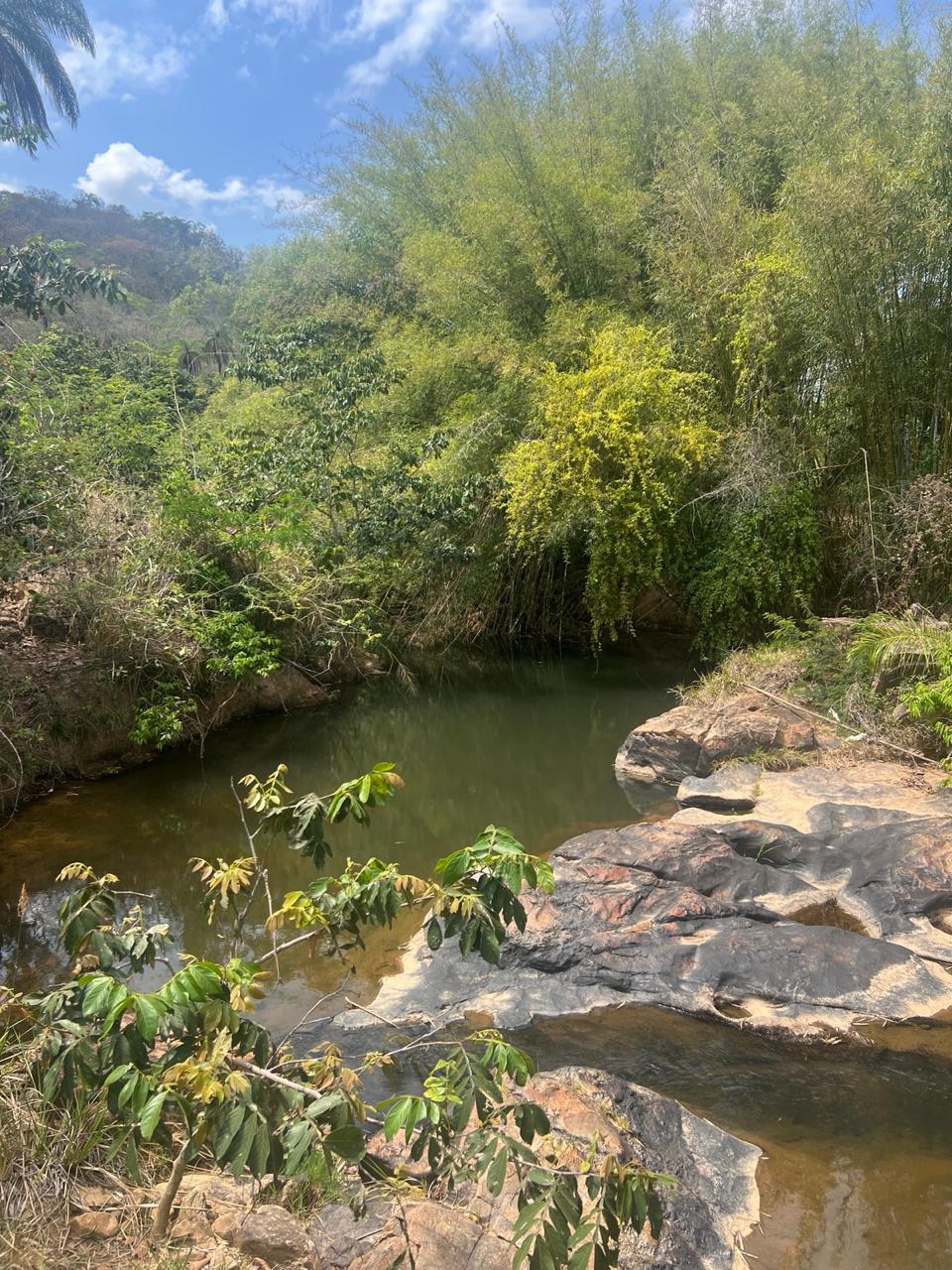Área Rural de 40.000m² com Córrego — foto 5