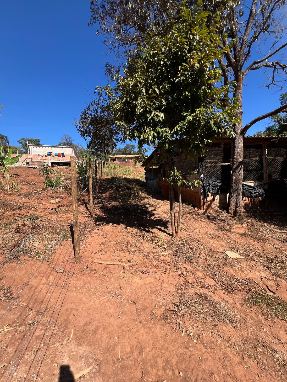 Terreno Rural de 1500 com Galpão em Santa Luzia — foto 7