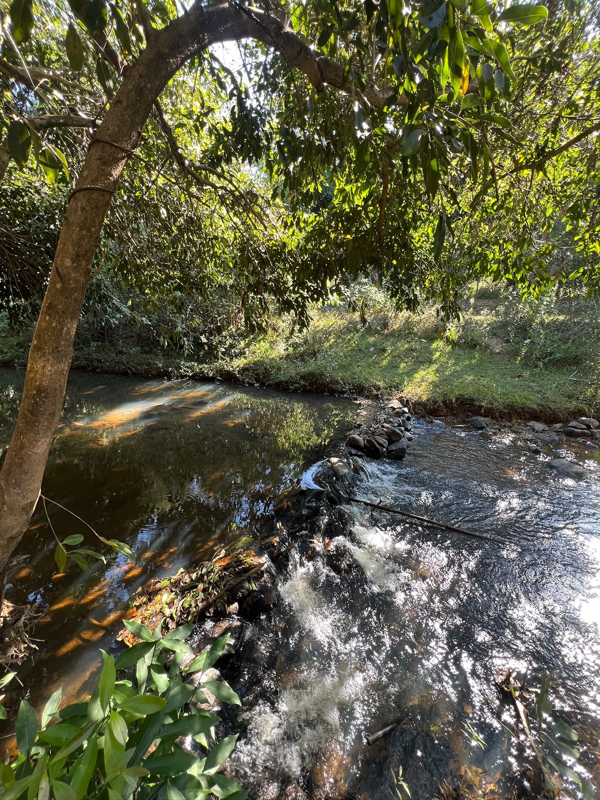 Chácaras a Partir de 3.000m² à Venda em Taquaraçu de Minas | Córrego nos Fundos e Entrada Facilitada — foto 2