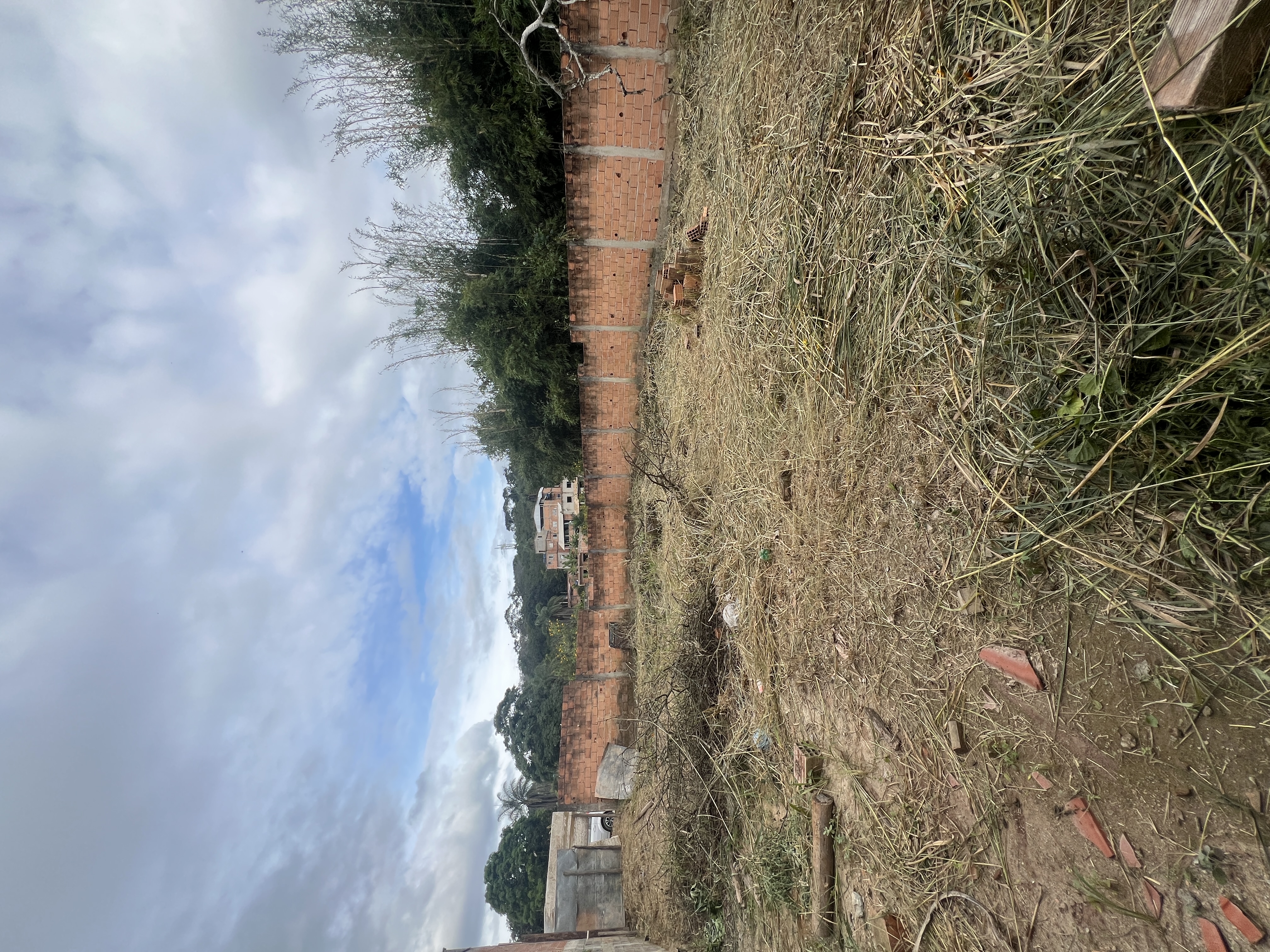 Lote Plano no Bom Jesus — foto 10