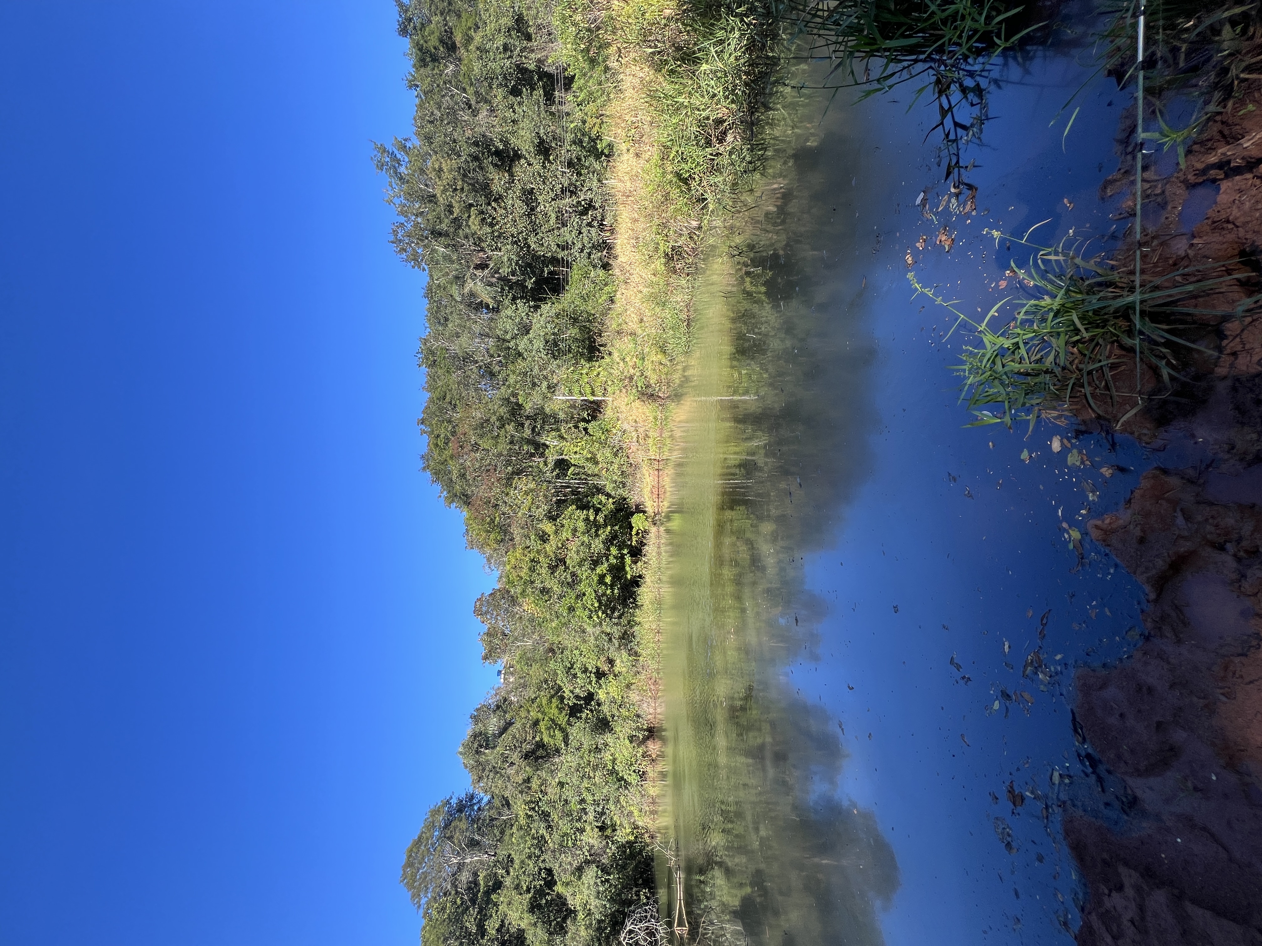 Área de 32 Hectares com Lagoa, Córrego e Poço Artesiano — foto 6