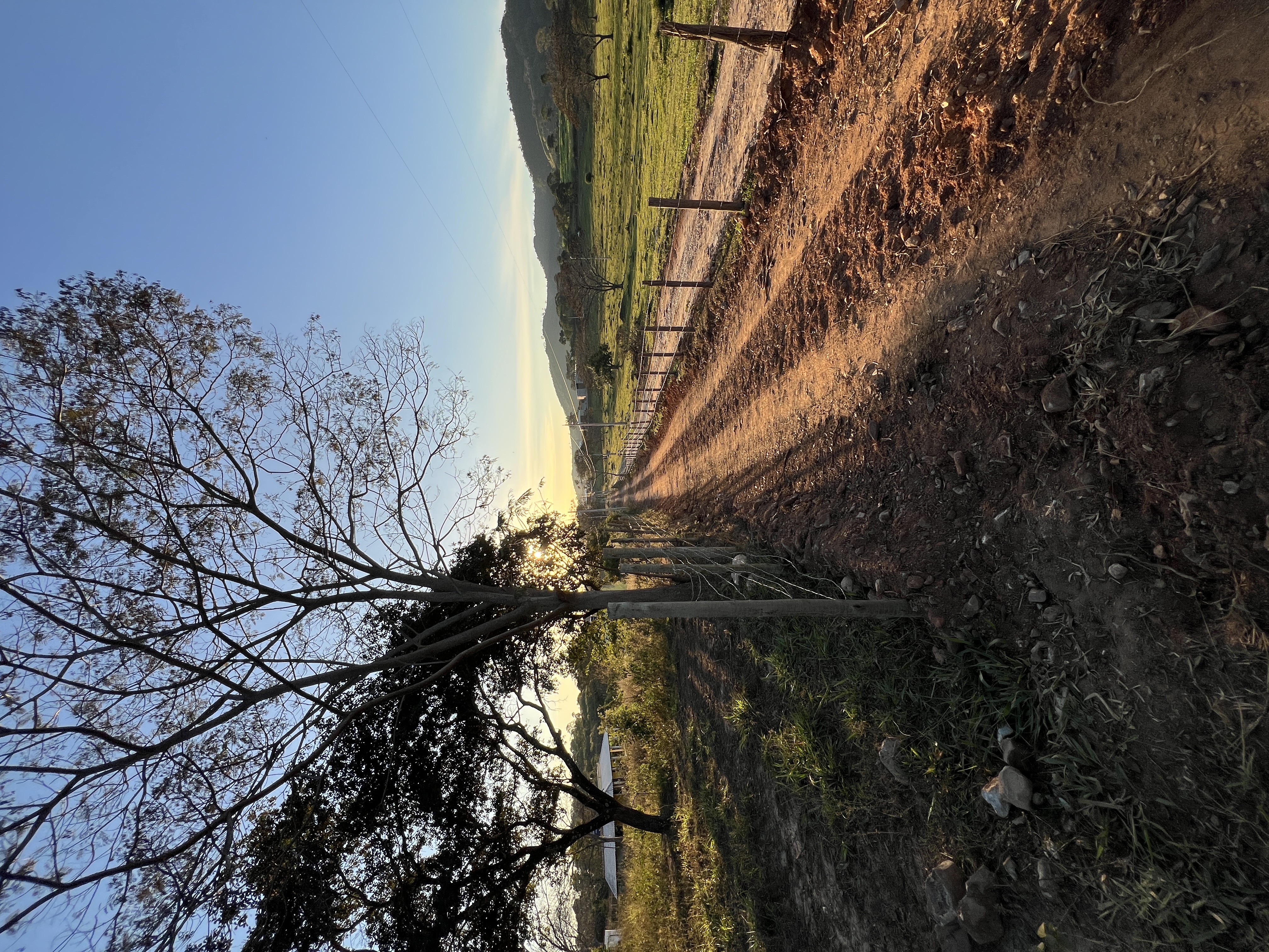 Terreno de 10.000m² Próximo à Rodovia