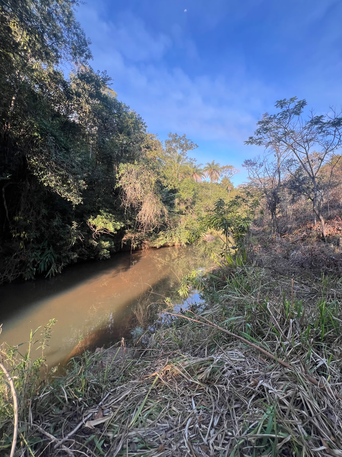 Chácaras a Partir de 3.000m² à Venda em Taquaraçu de Minas | Córrego nos Fundos e Entrada Facilitada — foto 10